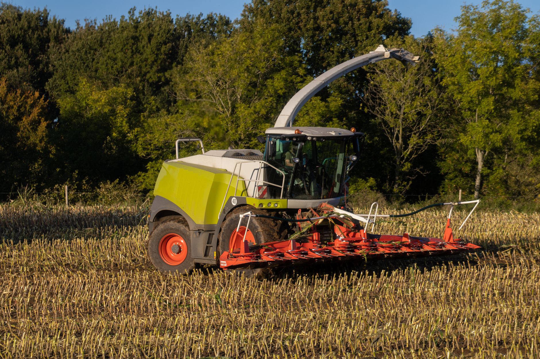 Why Clean Seed Capital Group Ltd. stock is skyrocketing today
