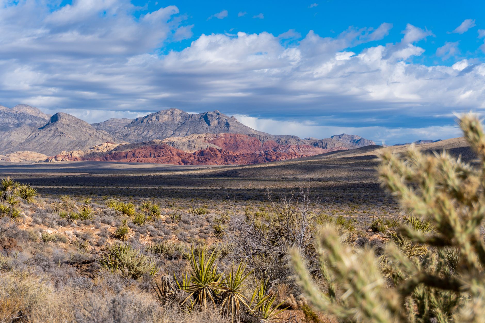 Integra Resources' Florida Canyon Mine Report Boosts Confidence โ What It Means for Canadian Investors