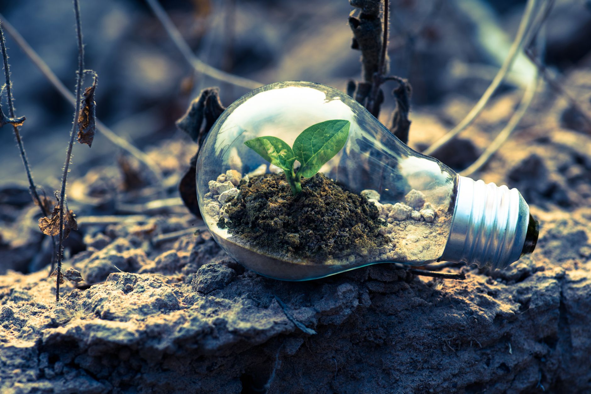 Why Gfl Environmental Holdings Inc stock is rising today