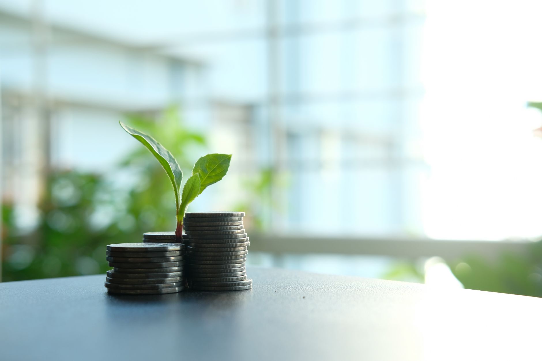 Why Winchester Equity Corporation stock is skyrocketing today