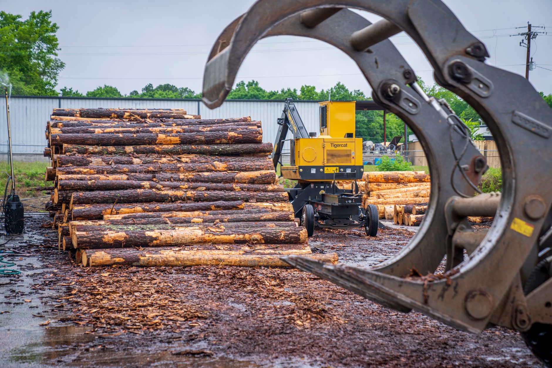 Why Canfor Corporation stock is sliding today