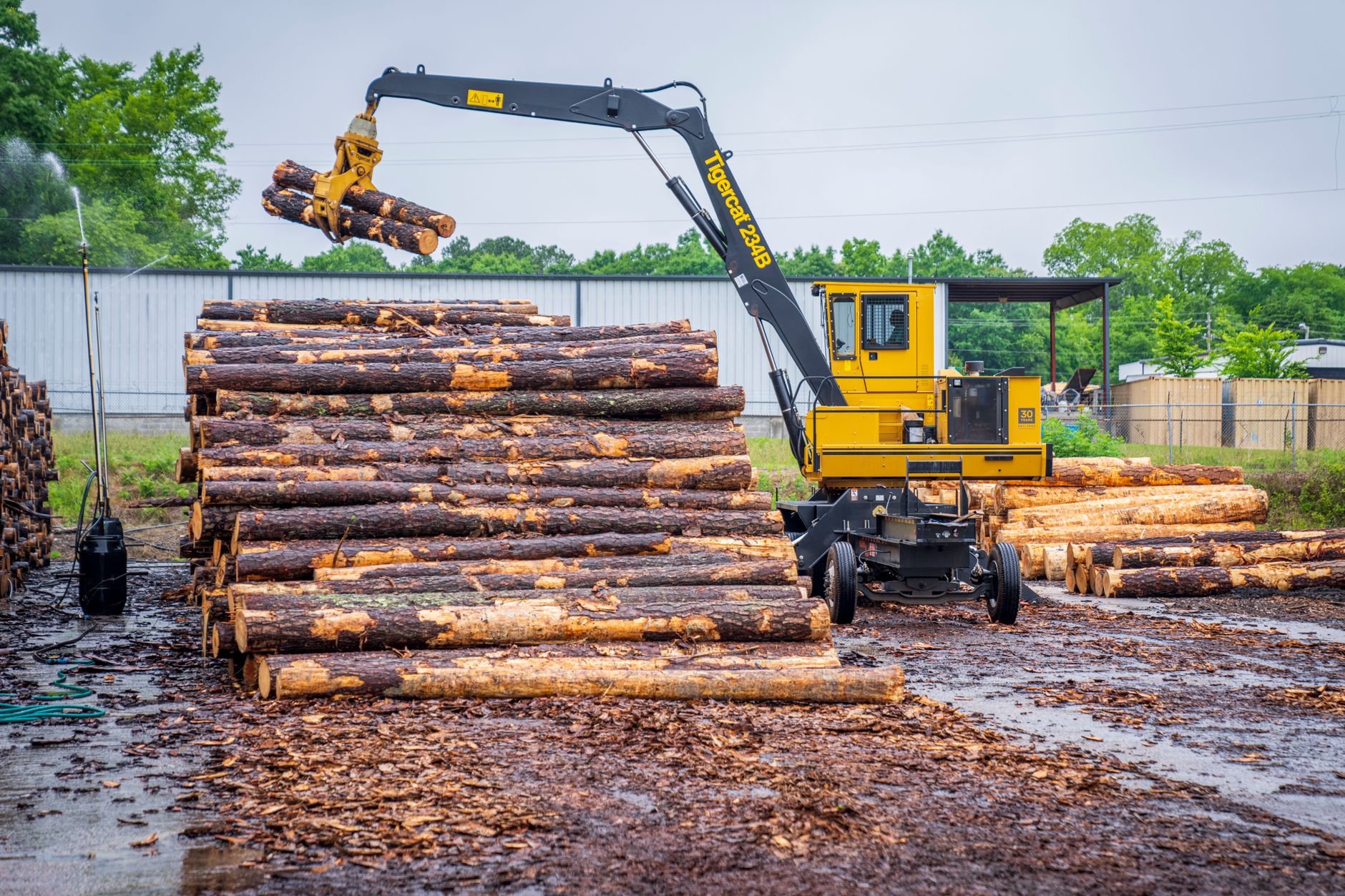 Why Western Forest Products Inc stock is skyrocketing today