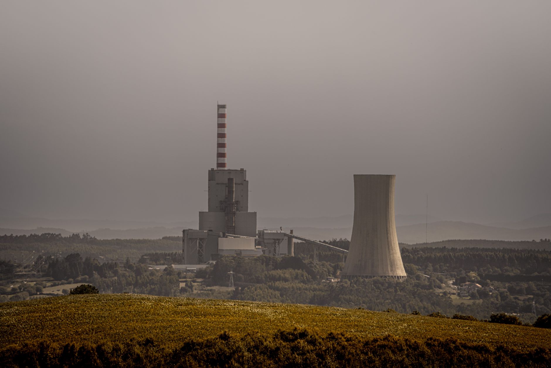 Why Thermal Energy International Inc. stock is rising today