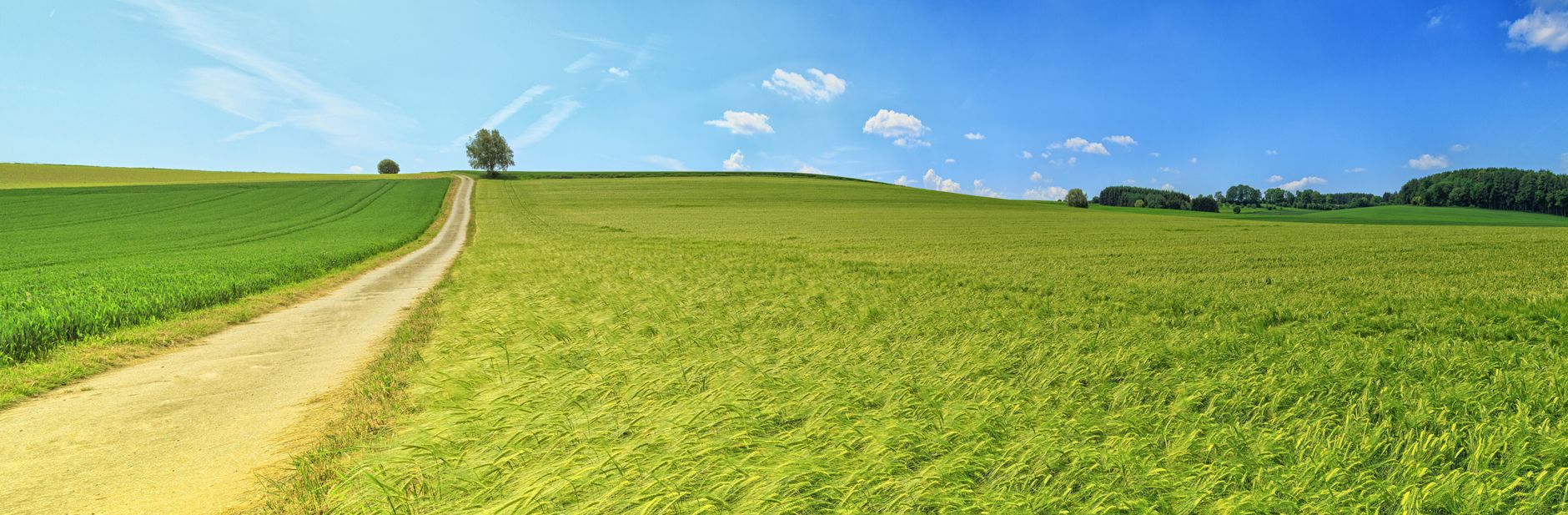 Why Green Shift Commodities Ltd. stock is skyrocketing today