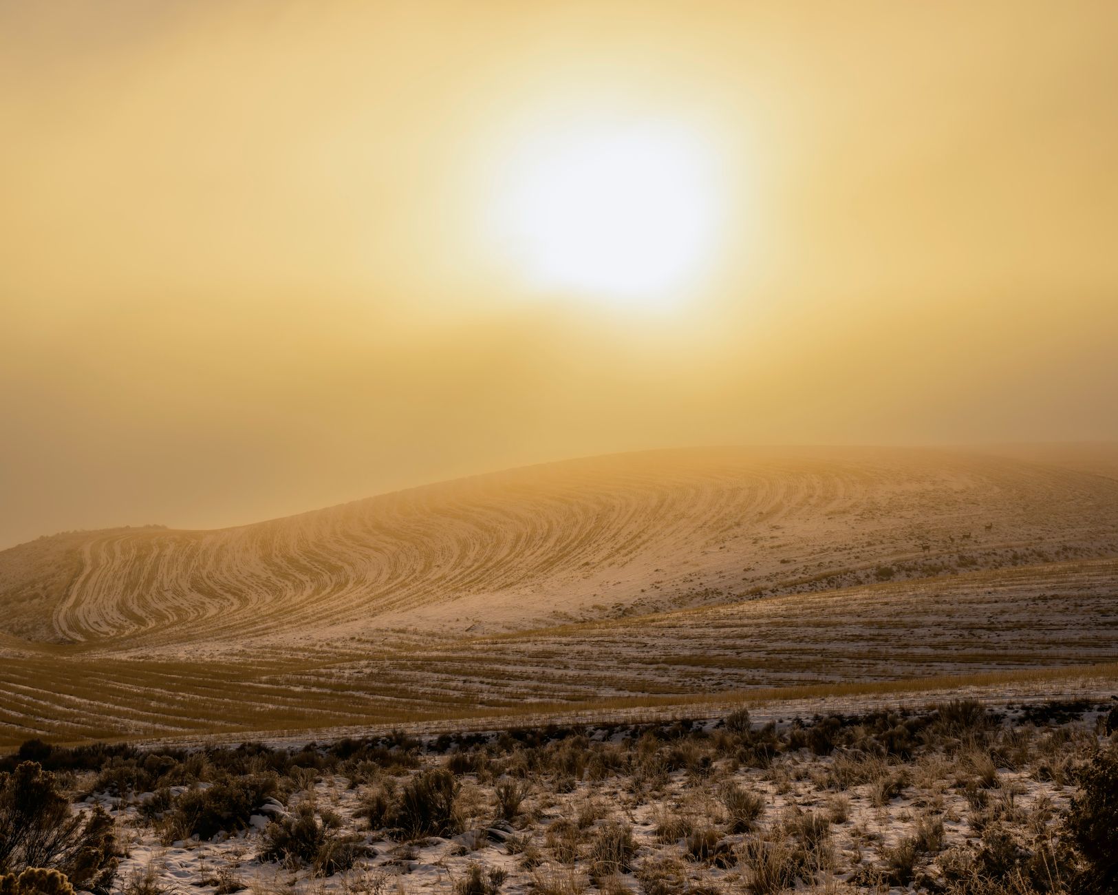 Why Obsidian Energy Ltd stock is gaining today