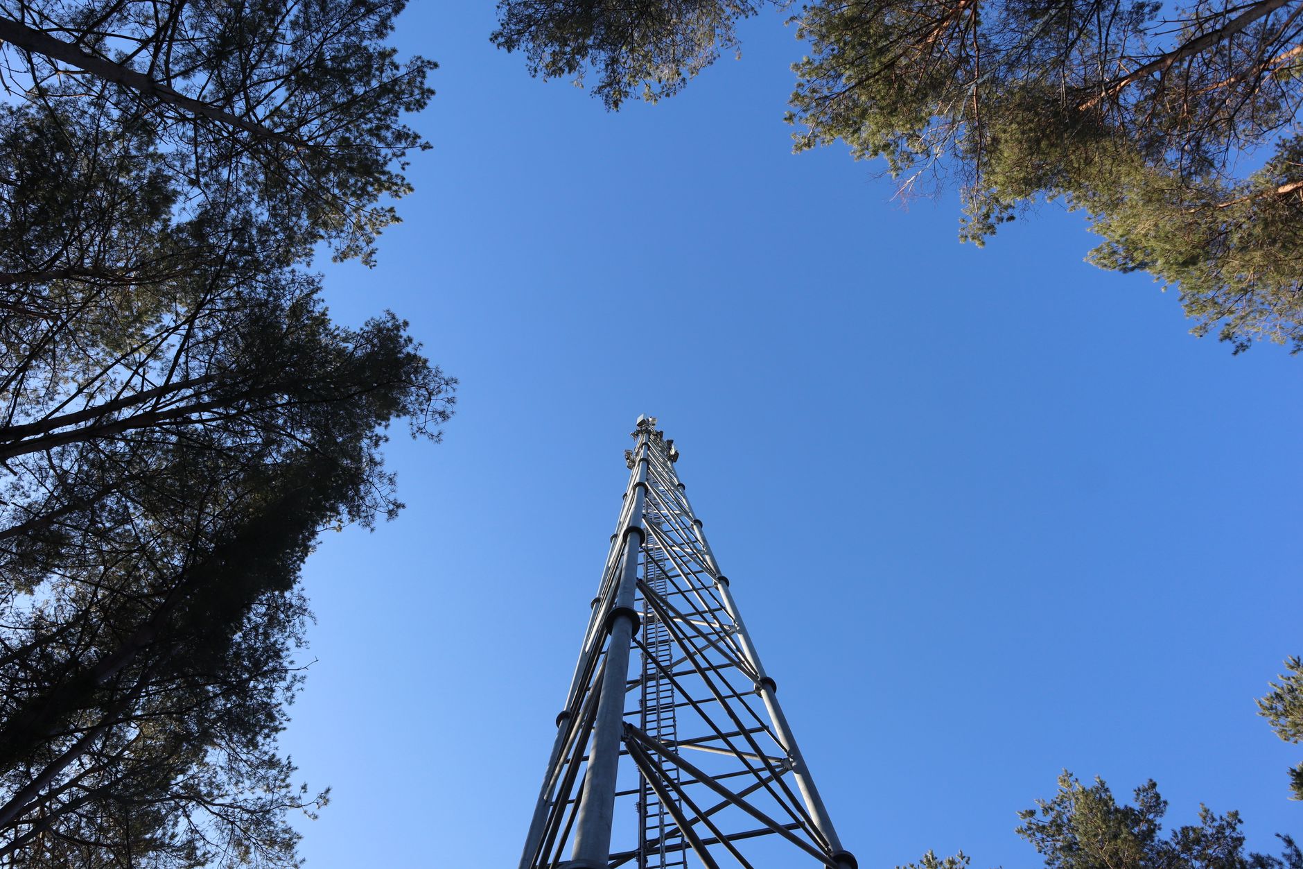 Why Cogeco Inc. stock is tanking today