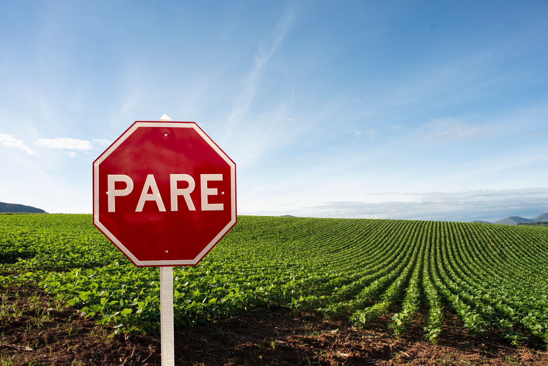 Why Verde Agritech PLC stock is plummeting today