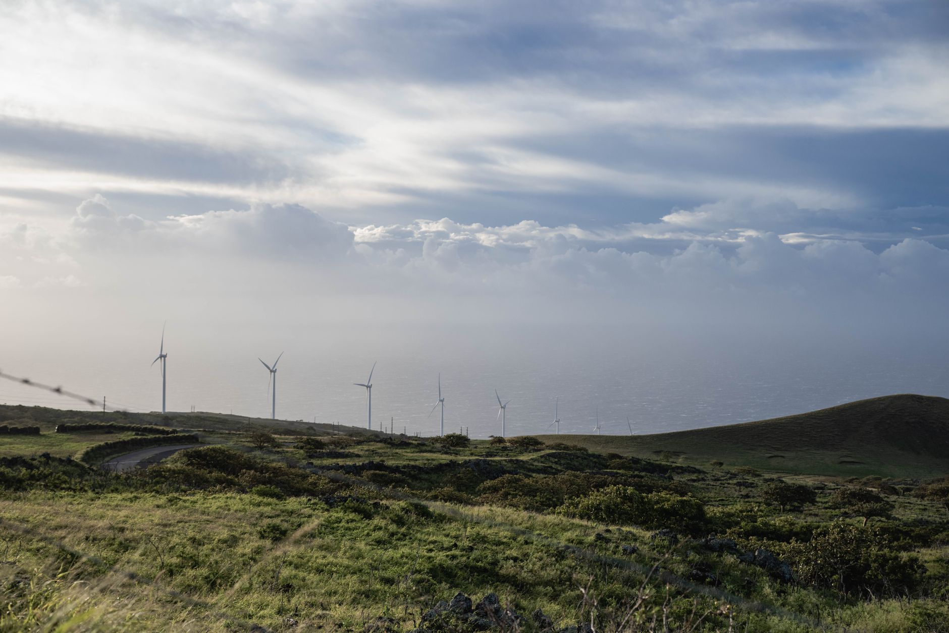 Why Green Shift Commodities Ltd. stock is skyrocketing today