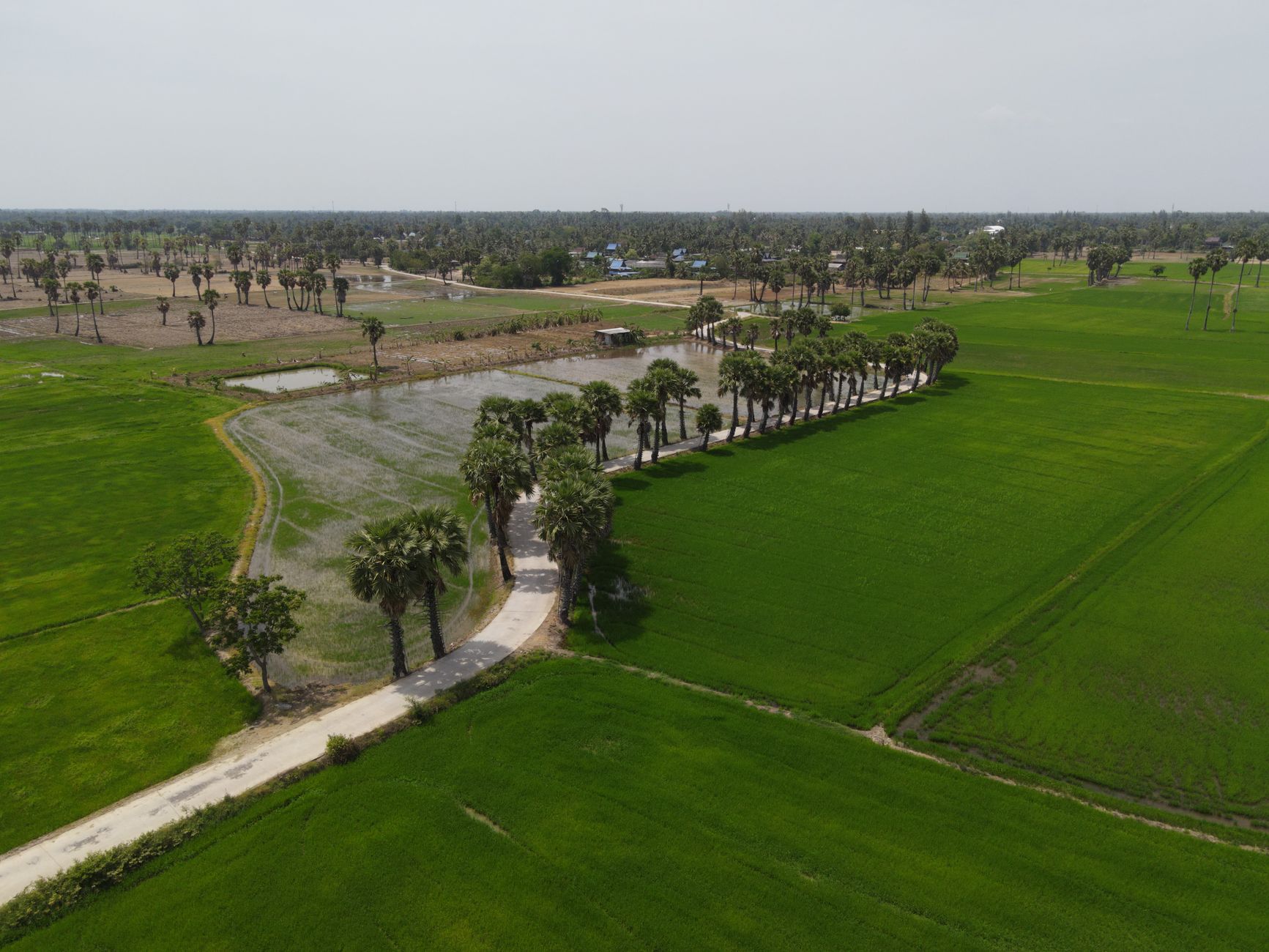 Why Verde Agritech PLC stock is skyrocketing today