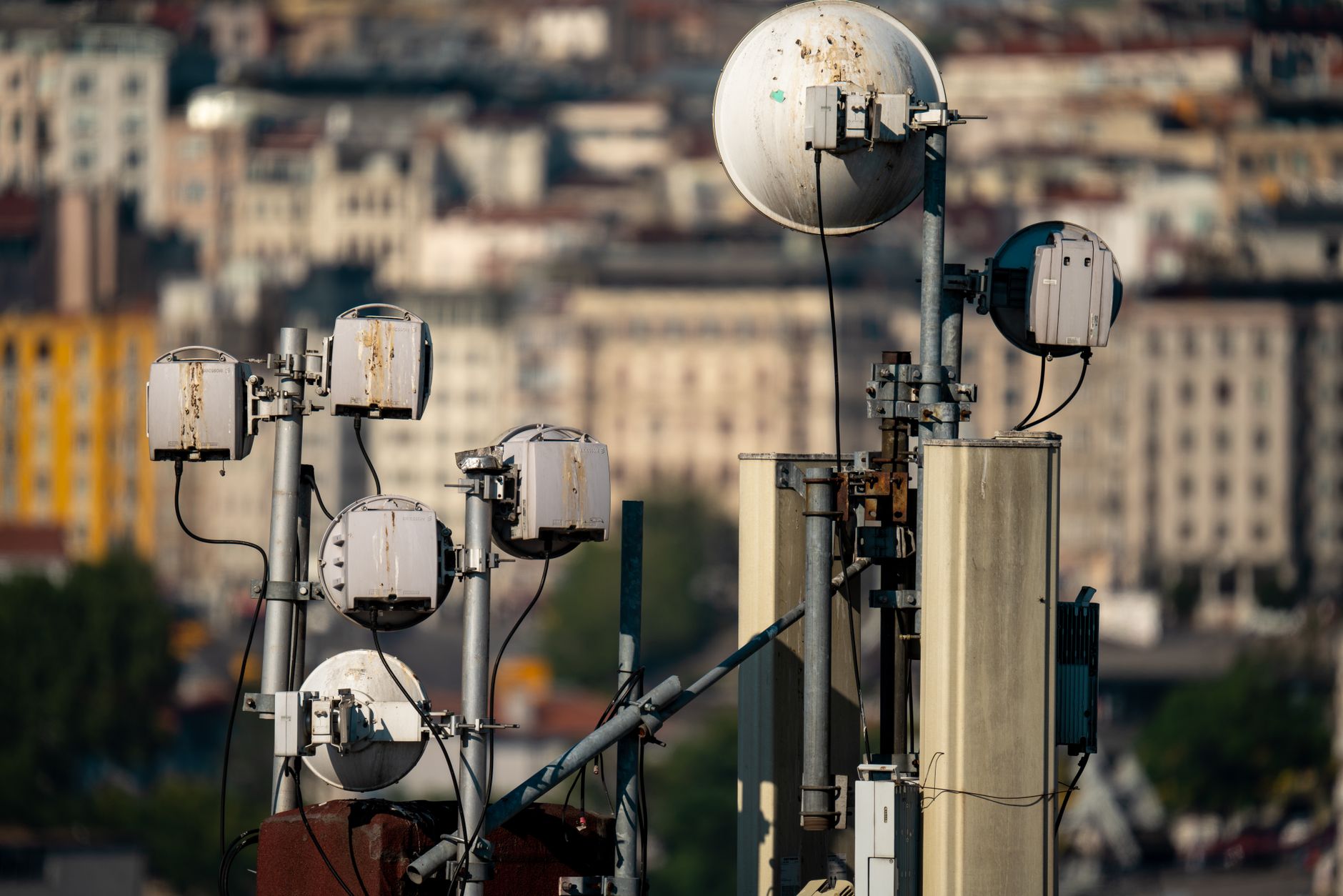 Rogers Claims Top Spot for Canada’s Best 5G+ Network Again