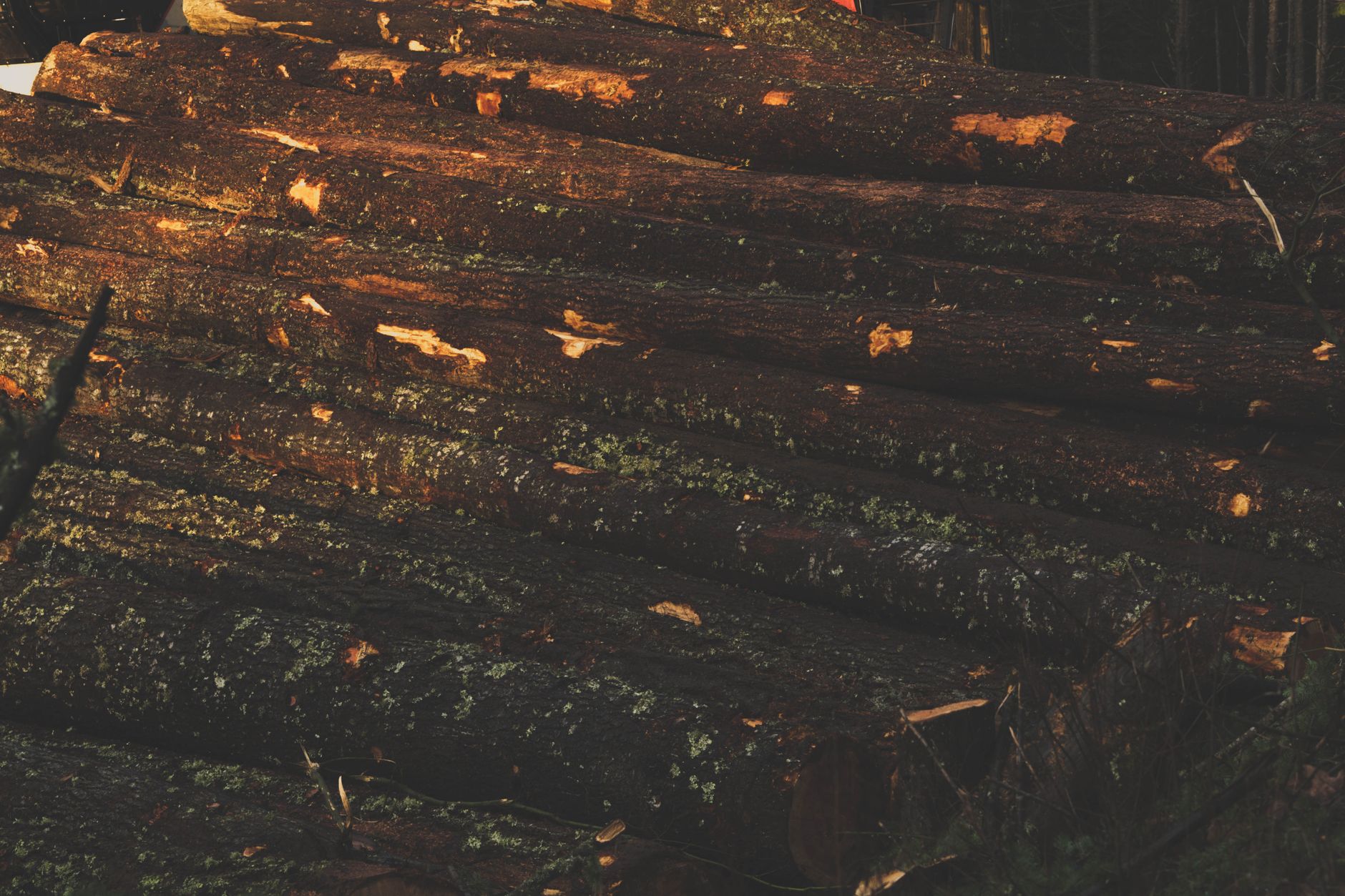 Why West Fraser Timber Co Ltd stock is tanking today