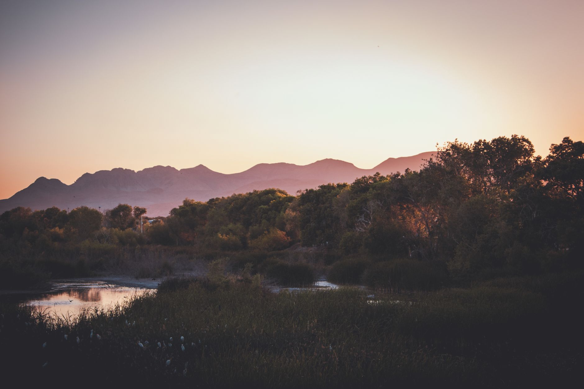 Why Desert Mountain Energy Corp stock is sliding today