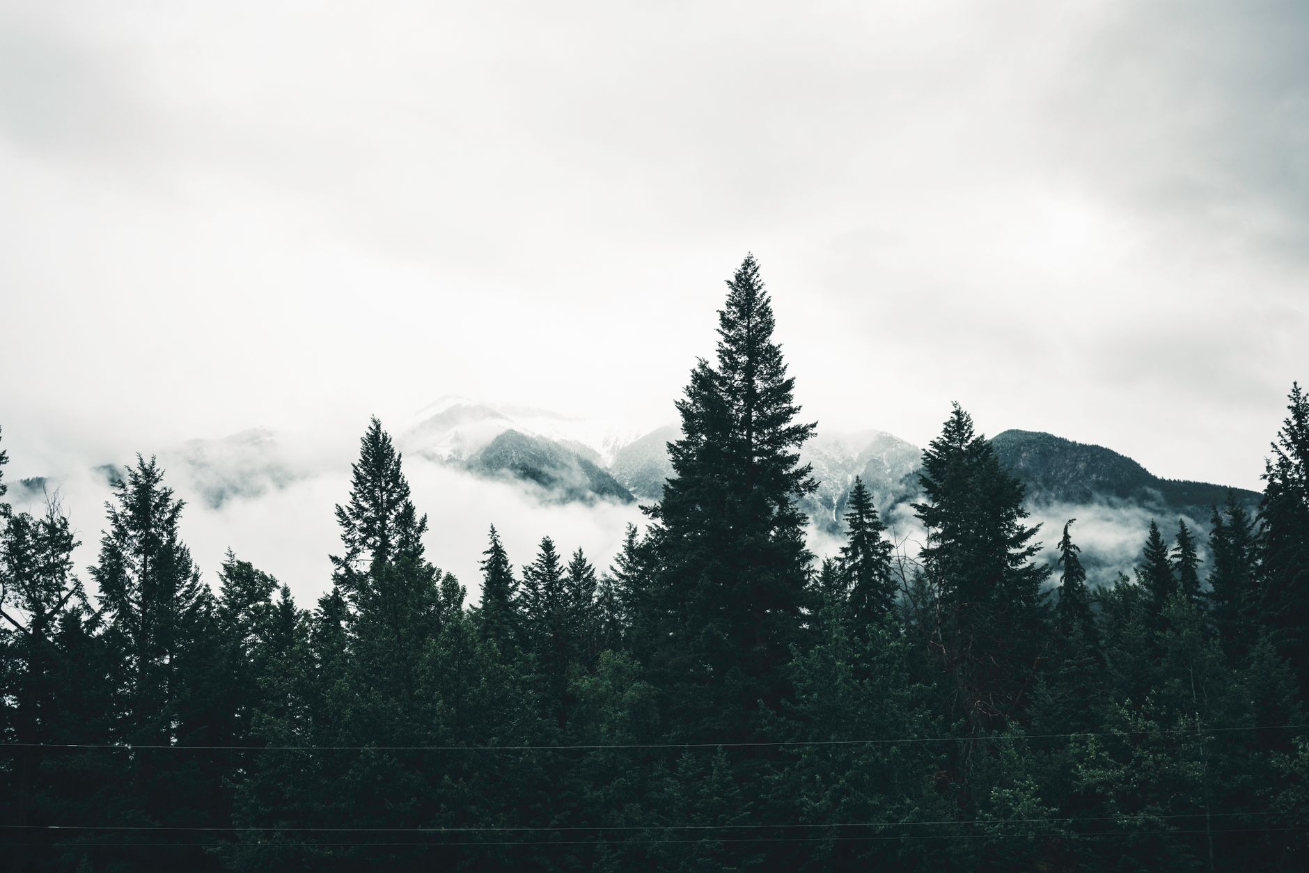 Why Western Forest Products Inc stock is skyrocketing today