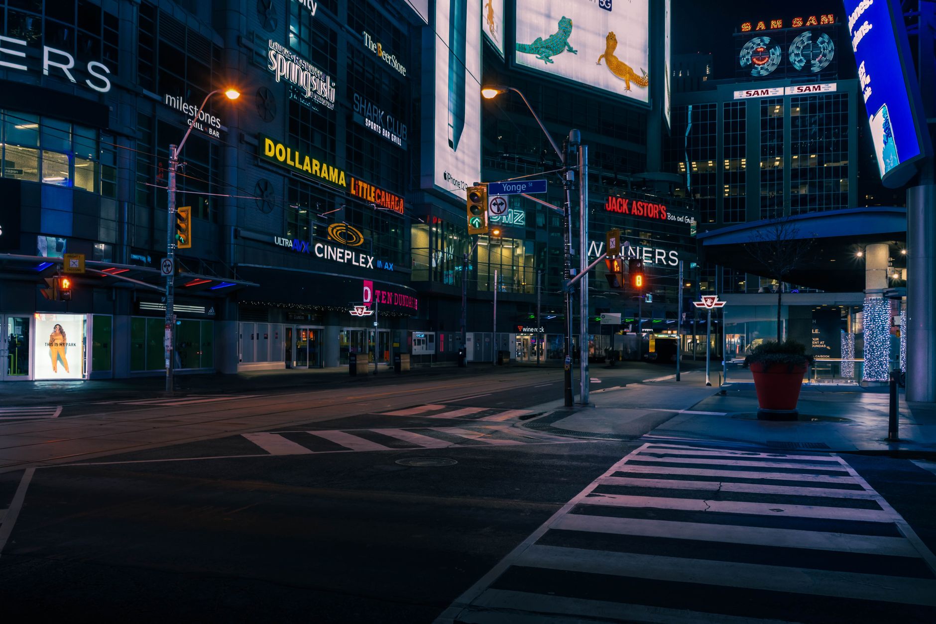 Dollarama Inc. (DOL.TO) Rises 5% This Week — What’s Driving the Momentum?