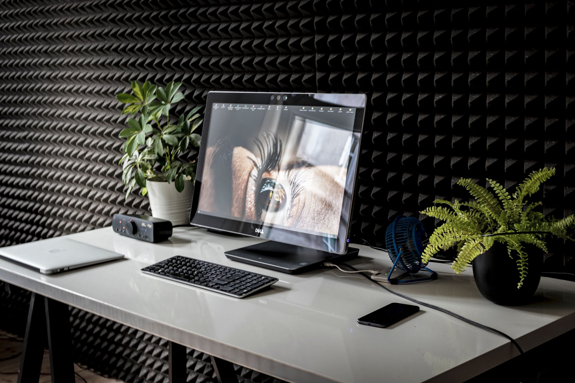 Why Blue Ant Media Corporation stock is rising today