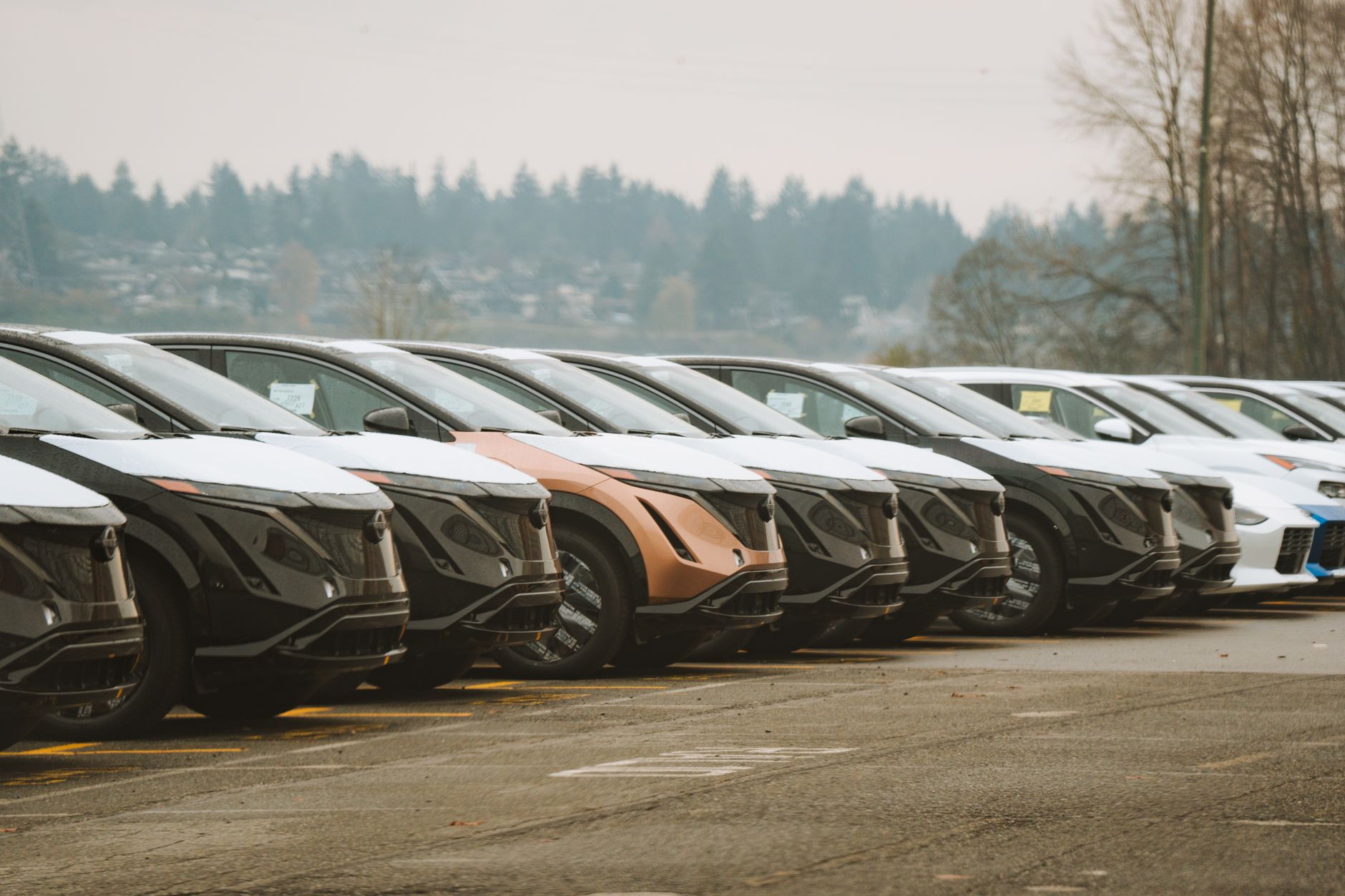 Why Autocanada Inc stock is gaining today