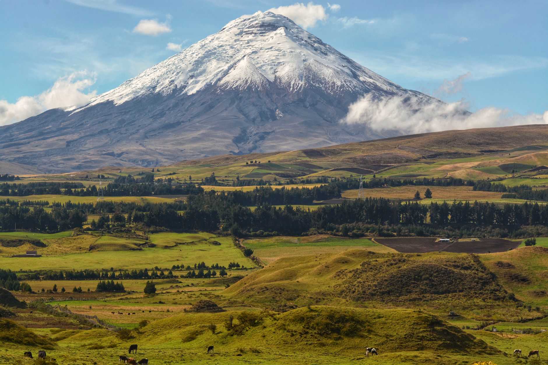 Why Salazar Resources Limited stock is rising today
