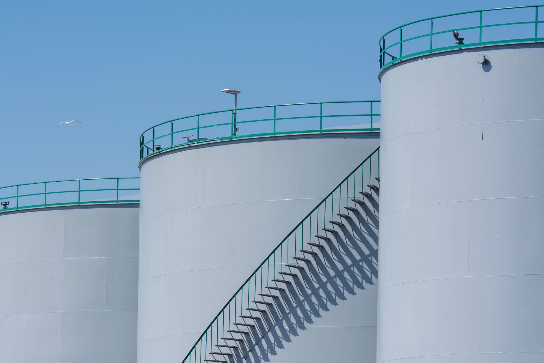 Why Robinson Energy Limited stock is skyrocketing today