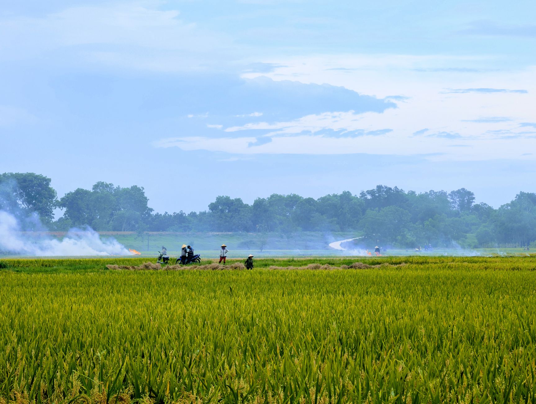 Nutrien Ltd. (NTR.TO) Surges This Week Amid U.S. Fertilizer Production Boost