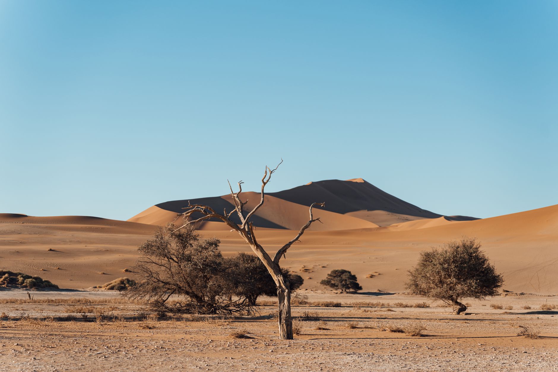 Why Skeleton Coast Uranium Corp. stock is skyrocketing today