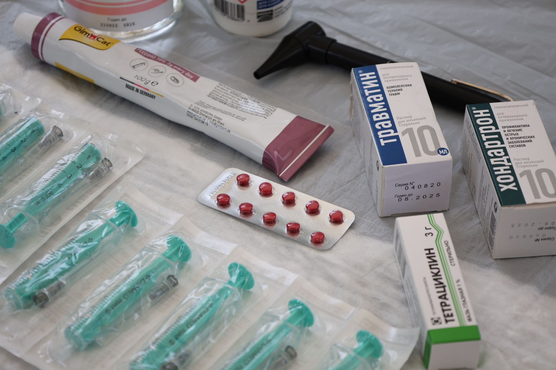 What to Expect from Medexus Pharmaceuticals Inc's Upcoming Earnings Report