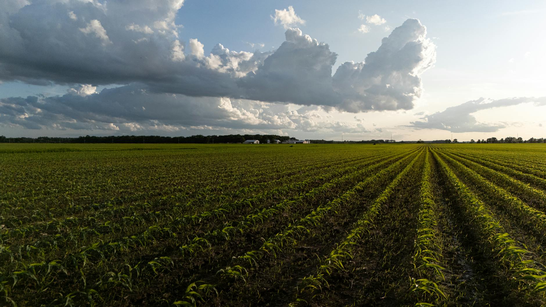 Nutrien's New $5B Shelf: Fertilizing Future Growth or Just a Safety Net?