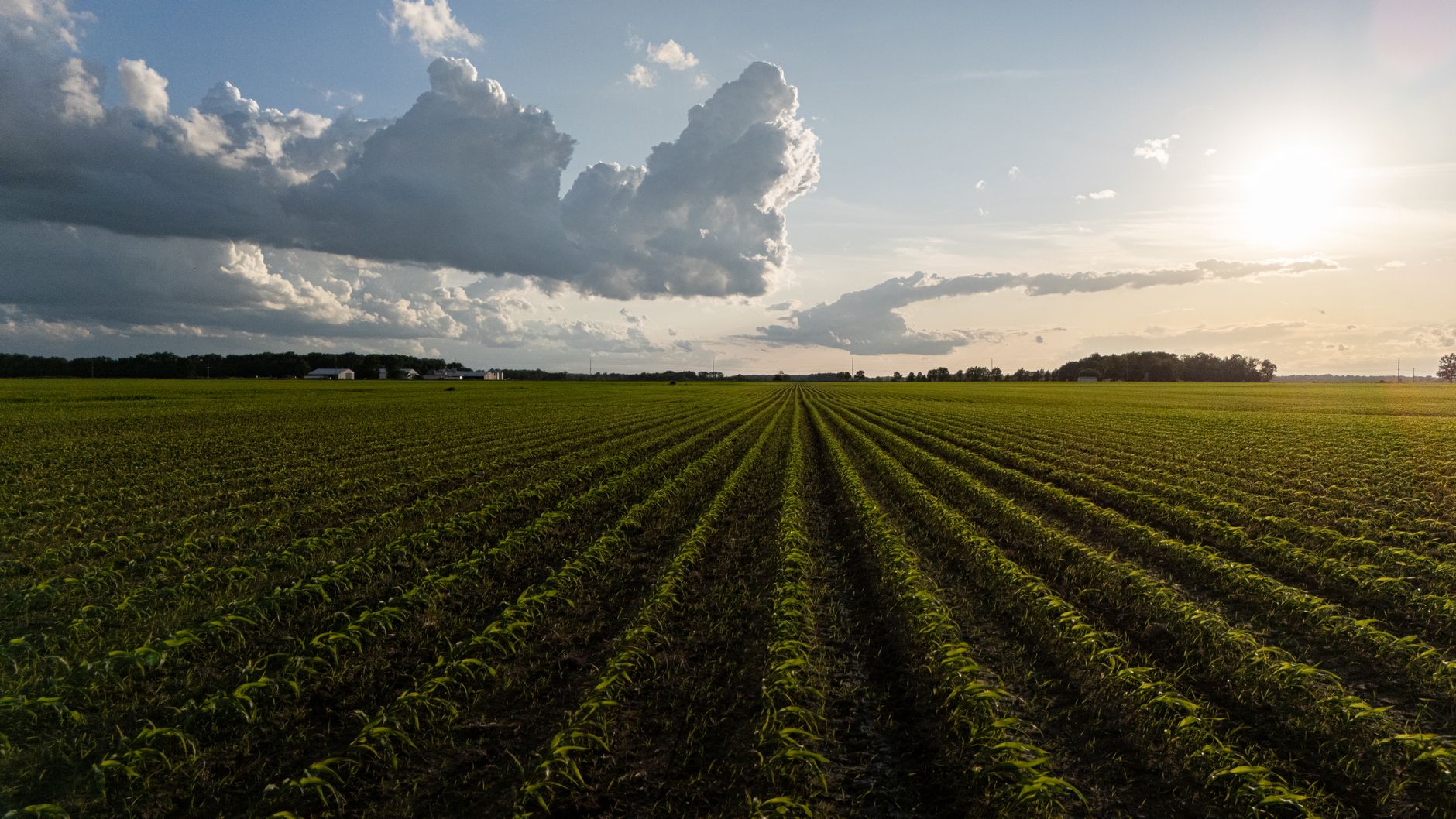Why Verde Agritech PLC stock is skyrocketing today
