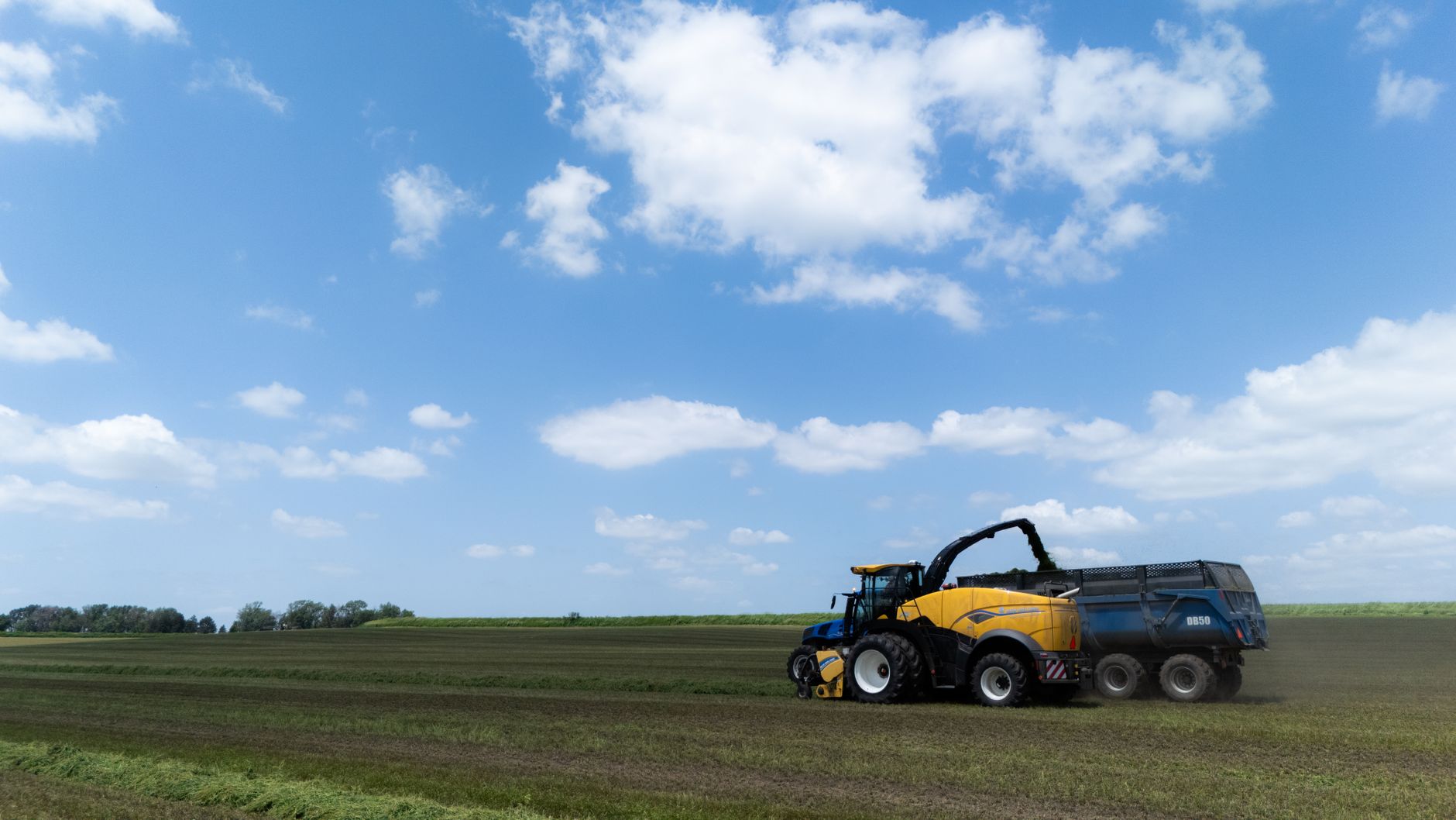 Why Clean Seed Capital Group Ltd. stock is skyrocketing today