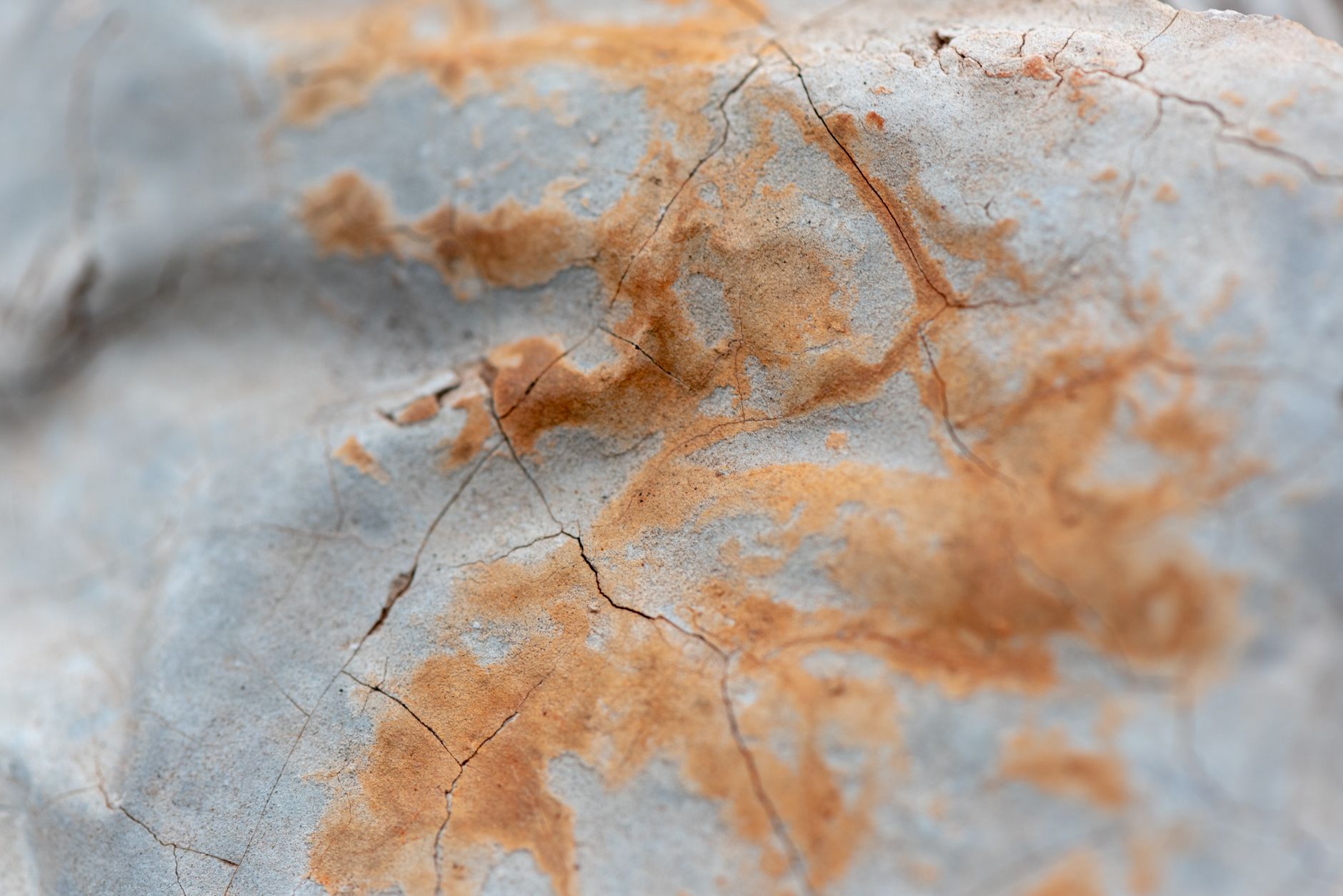 First Quantum Minerals Ltd (FM.TO) Faces 1-Week Decline Amid Weak Earnings Outlook