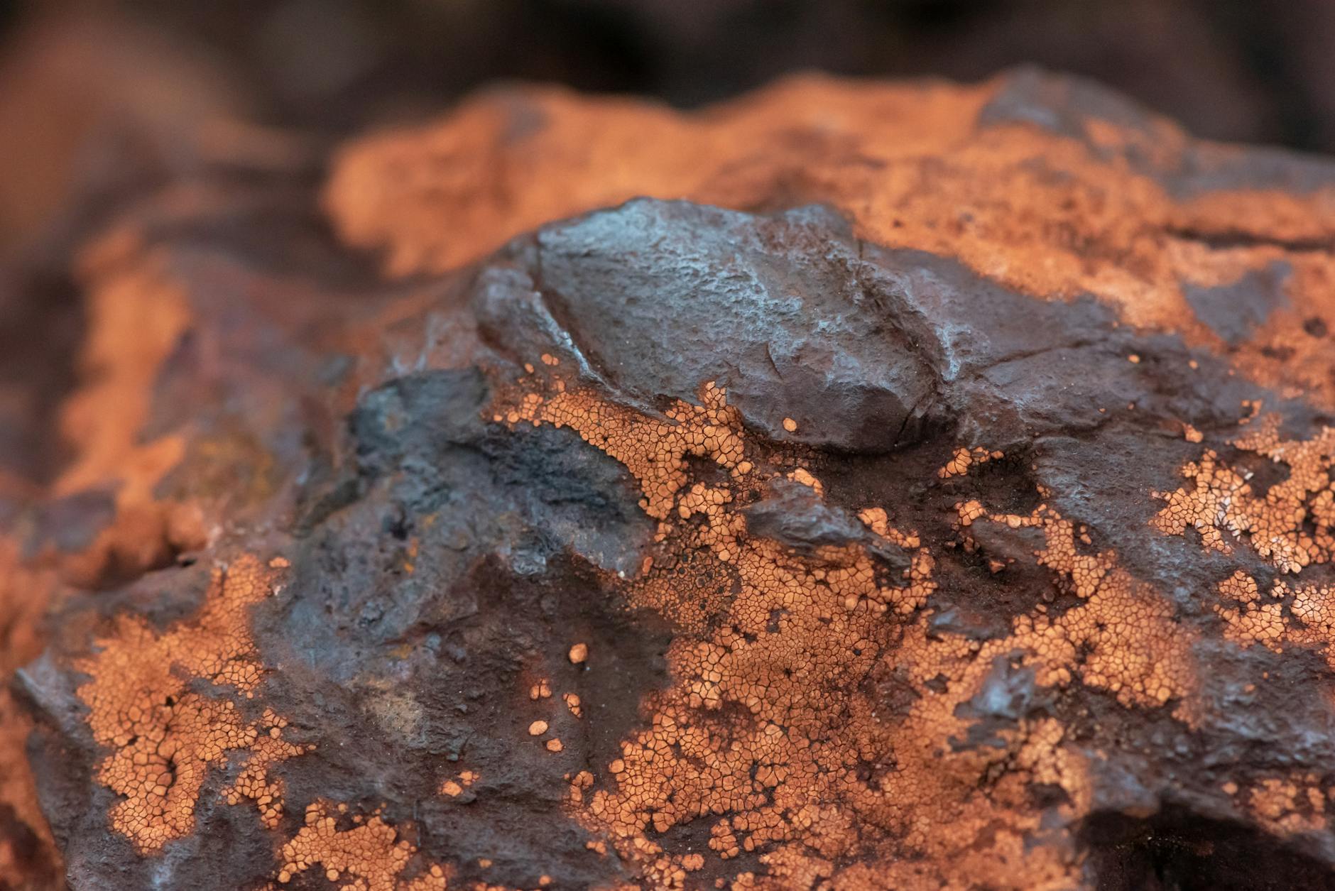 Discovery Silver Corp. Jumps 8% in Last Session Amid Silver Price Rally