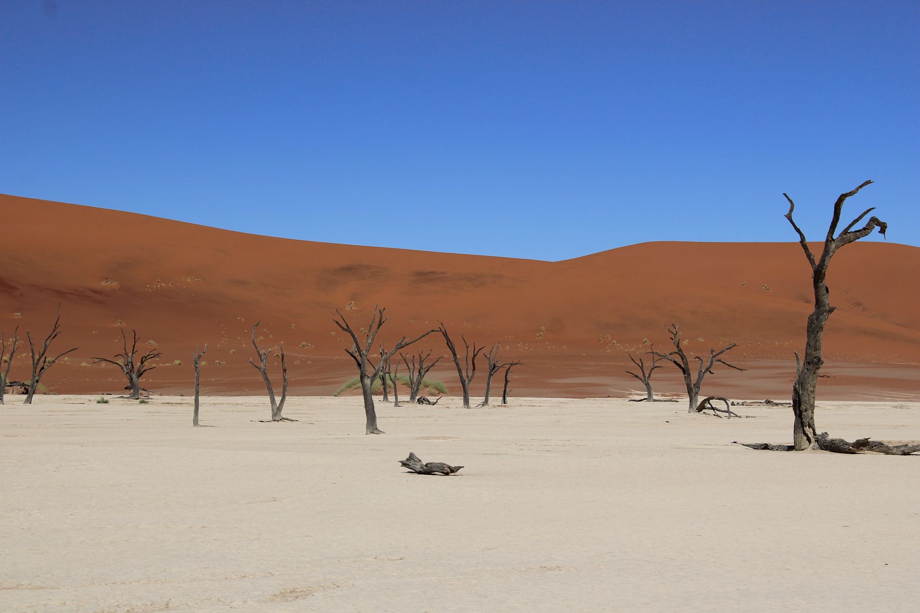 Why Skeleton Coast Uranium Corp. stock is plummeting today