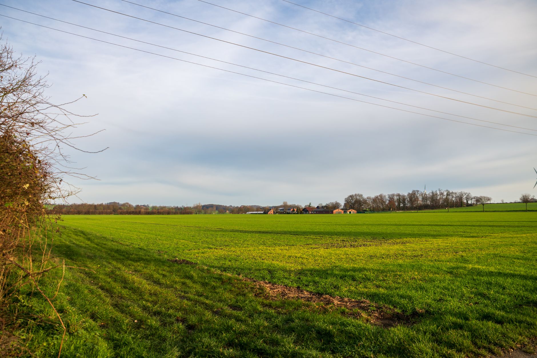 Why Verde Agritech PLC stock is rising today