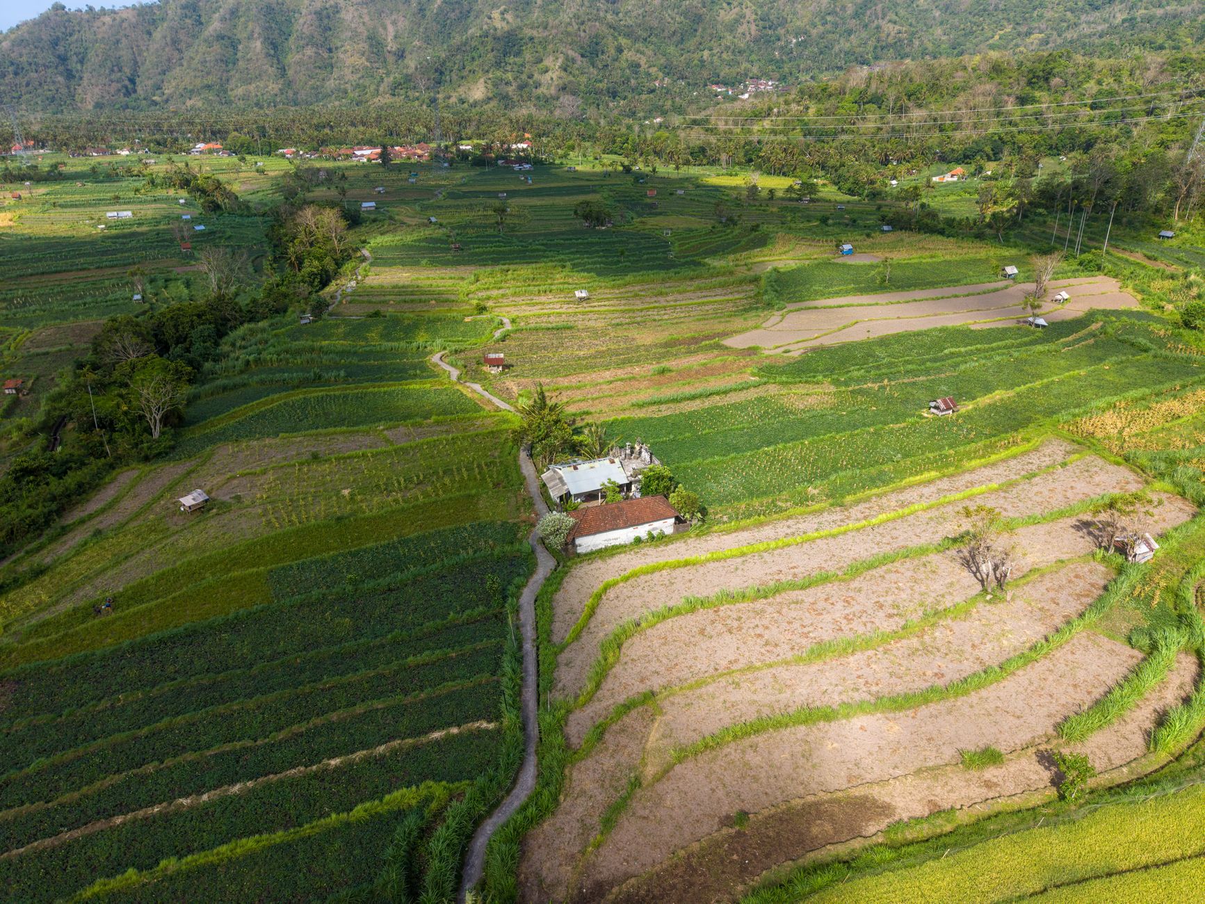 Why Verde Agritech PLC stock is skyrocketing today