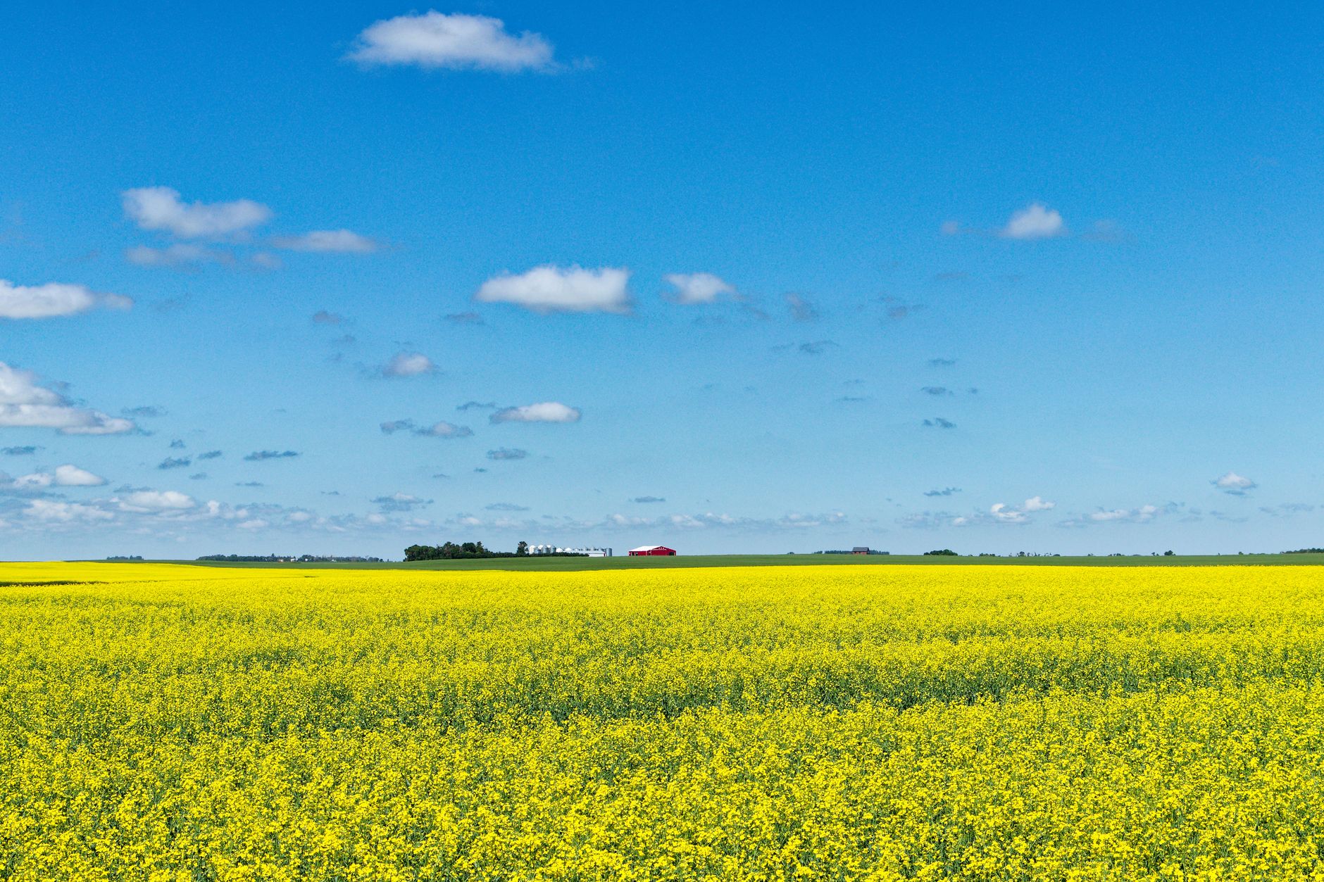 Why Verde Agritech PLC stock is gaining today