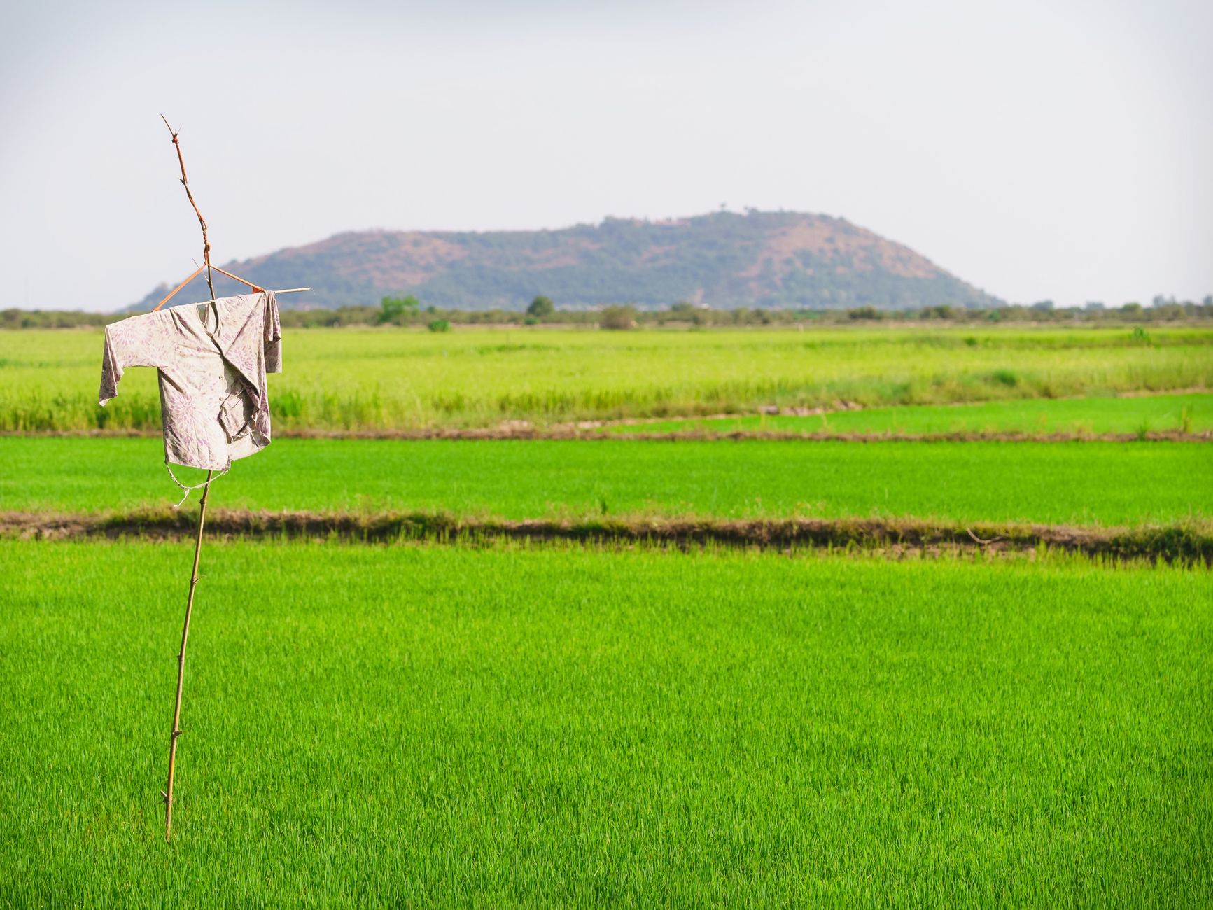 Why Angkor Resources Corp stock is skyrocketing today