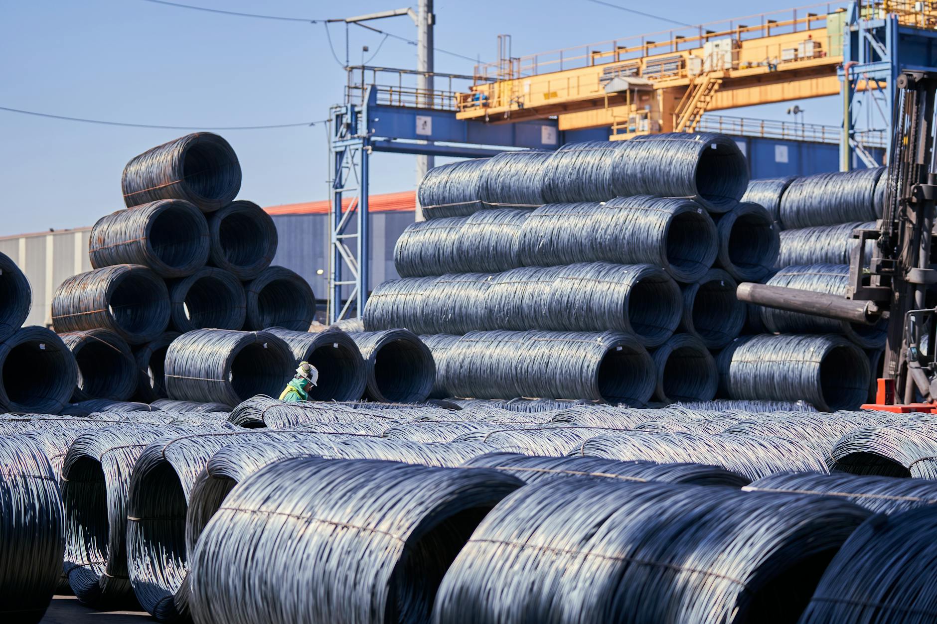 What to Watch for in Tree Island Steel's Upcoming Earnings Report