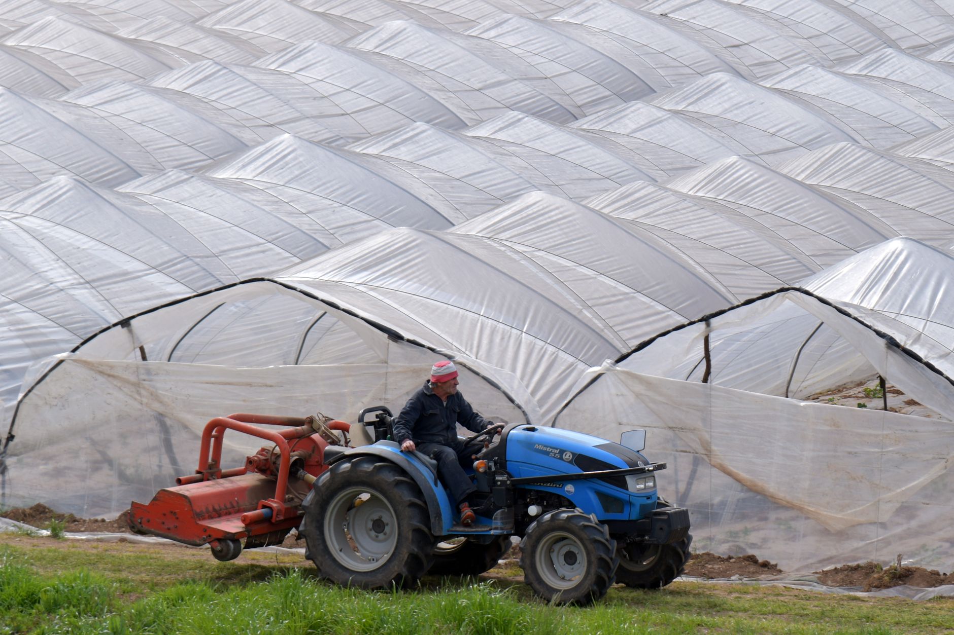 Why Green Rise Capital Corp stock is rising today
