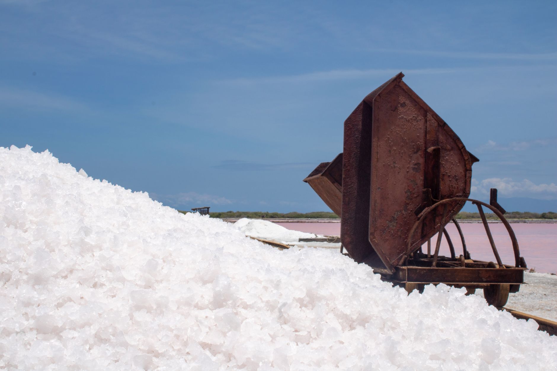 Why Atlas Salt Inc stock is rising today