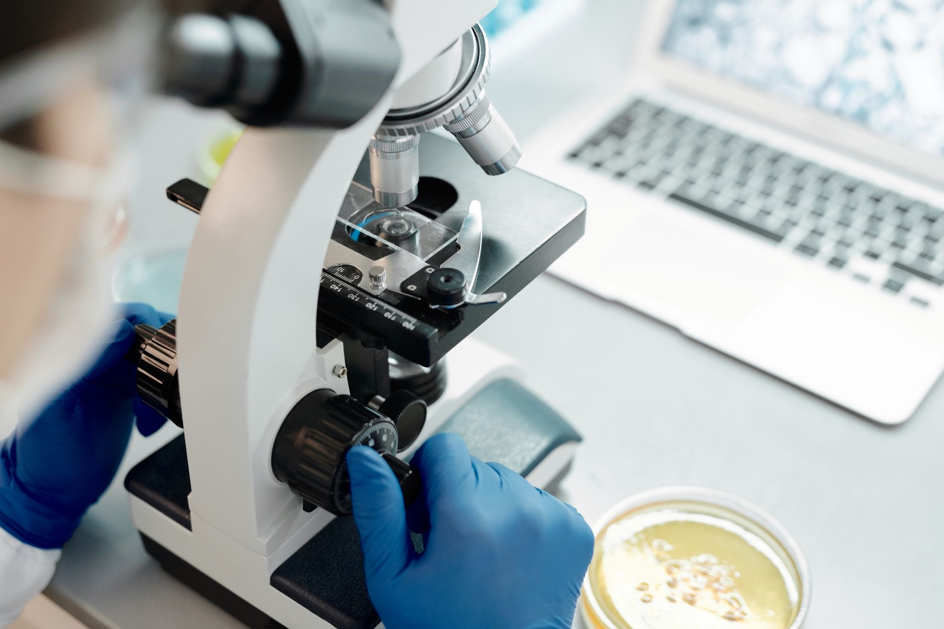 Why Briacell Therapeutics Corp stock is tanking today