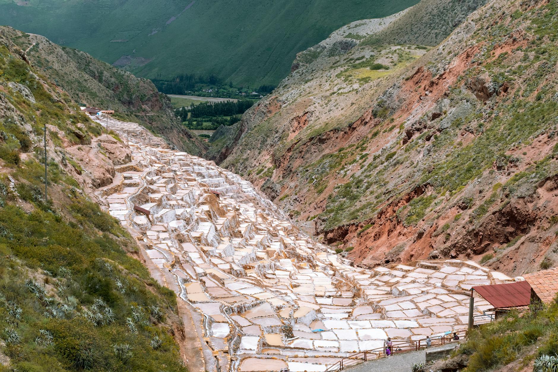 NGEx Minerals Ltd. (NGEX.TO) Surges 10% This Week on High-Grade Gold Intercepts