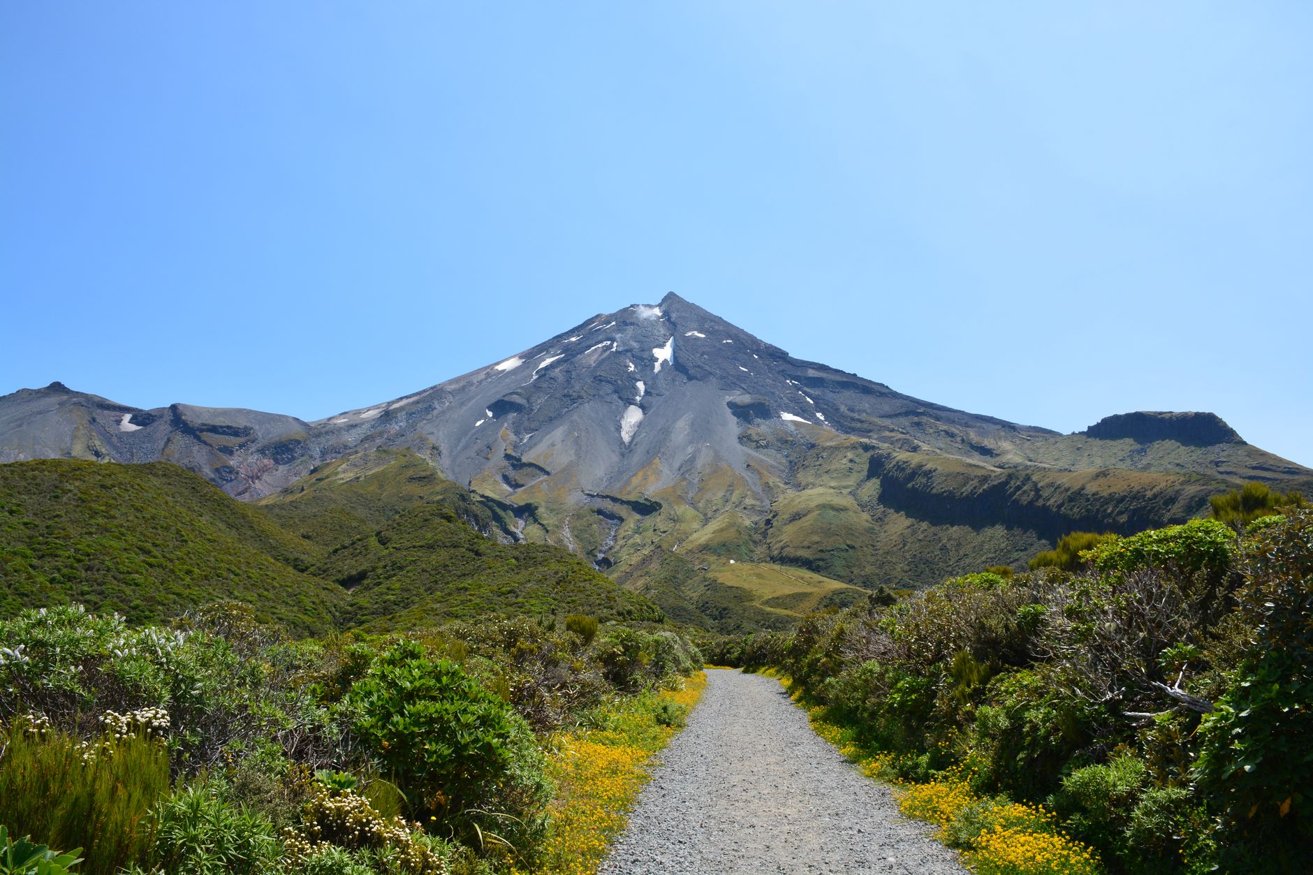 What to Watch for in New Zealand Energy Corp's (NZ.V) Earnings Report