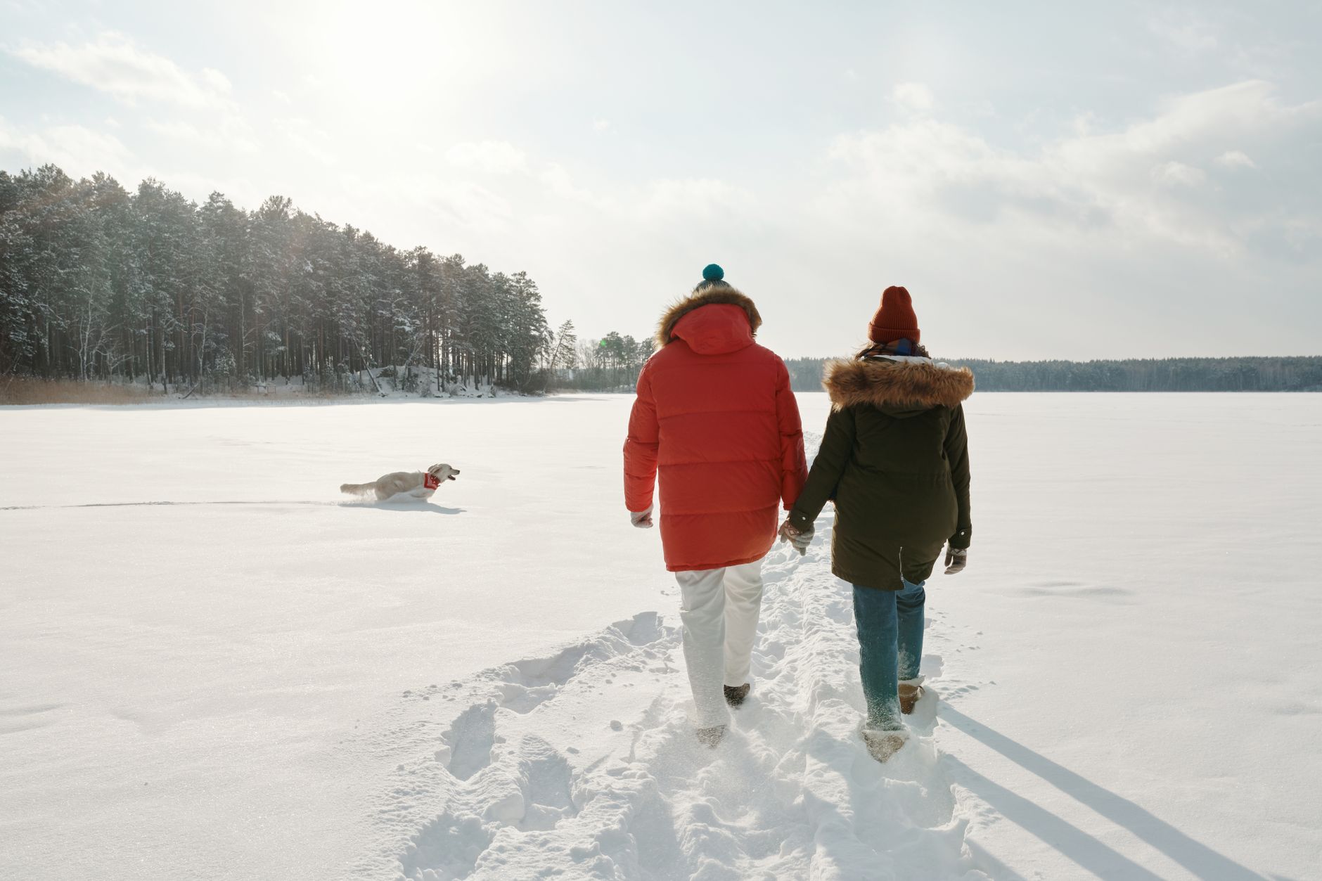 Why Canada Goose Holdings Inc stock is tanking today