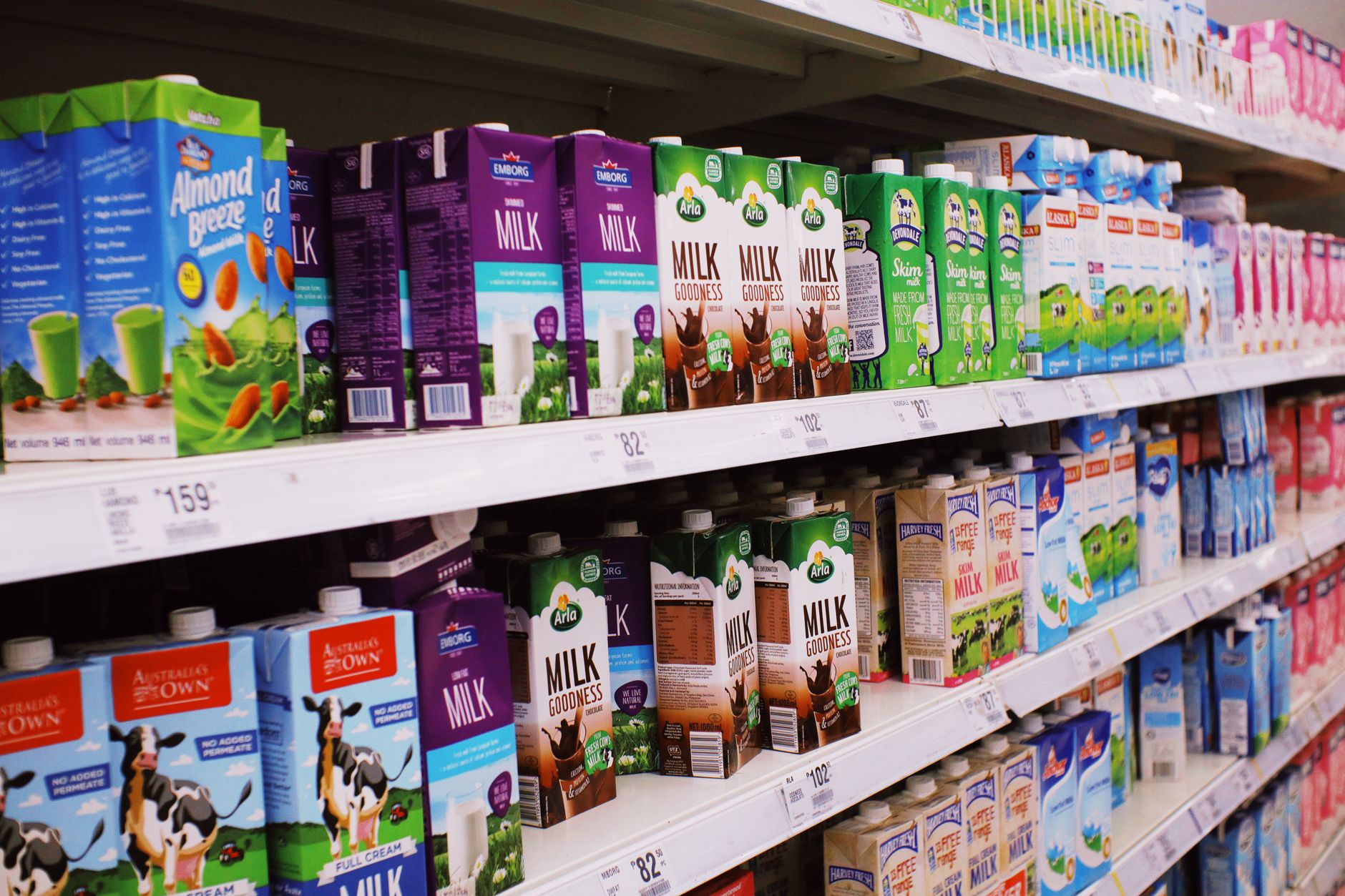 Why Else Nutrition Holdings Inc stock is plummeting today