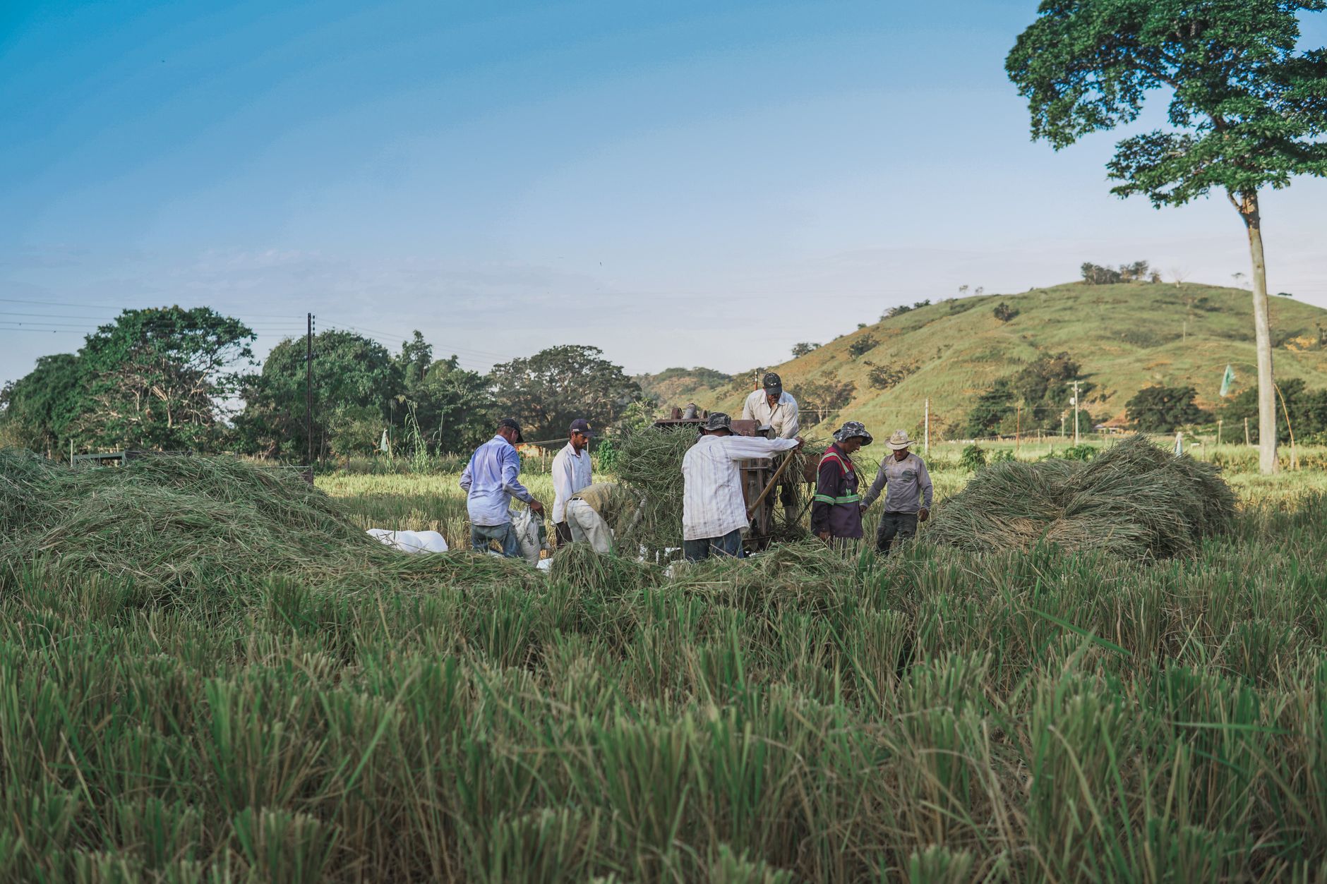 Quartz Mountain Resources Ltd. (QZM.V) Reports Earnings Amid Drilling Developments