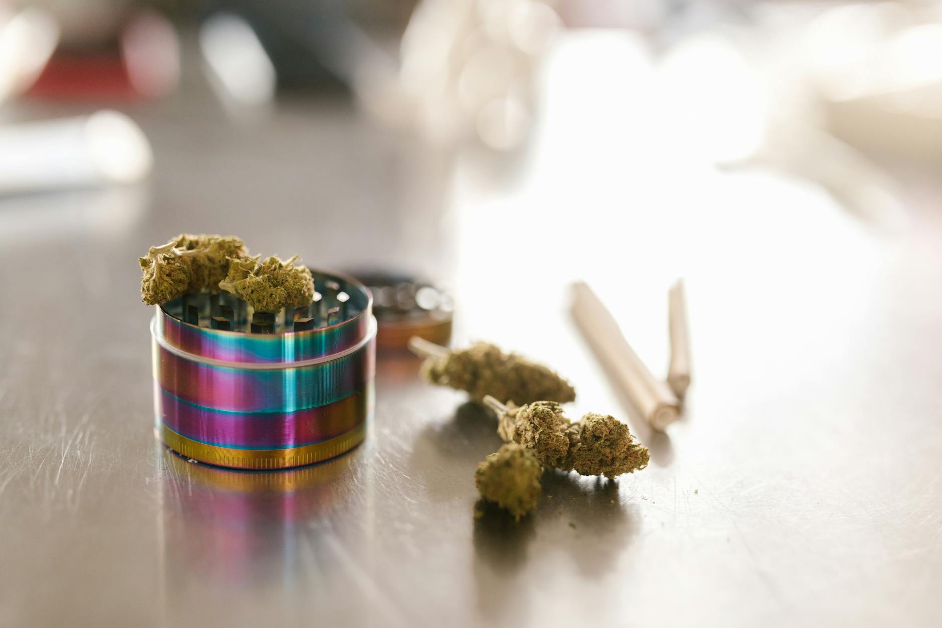 Curaleaf Holdings Inc. Jumps 8% in One Day as Investors Reassess Growth Potential