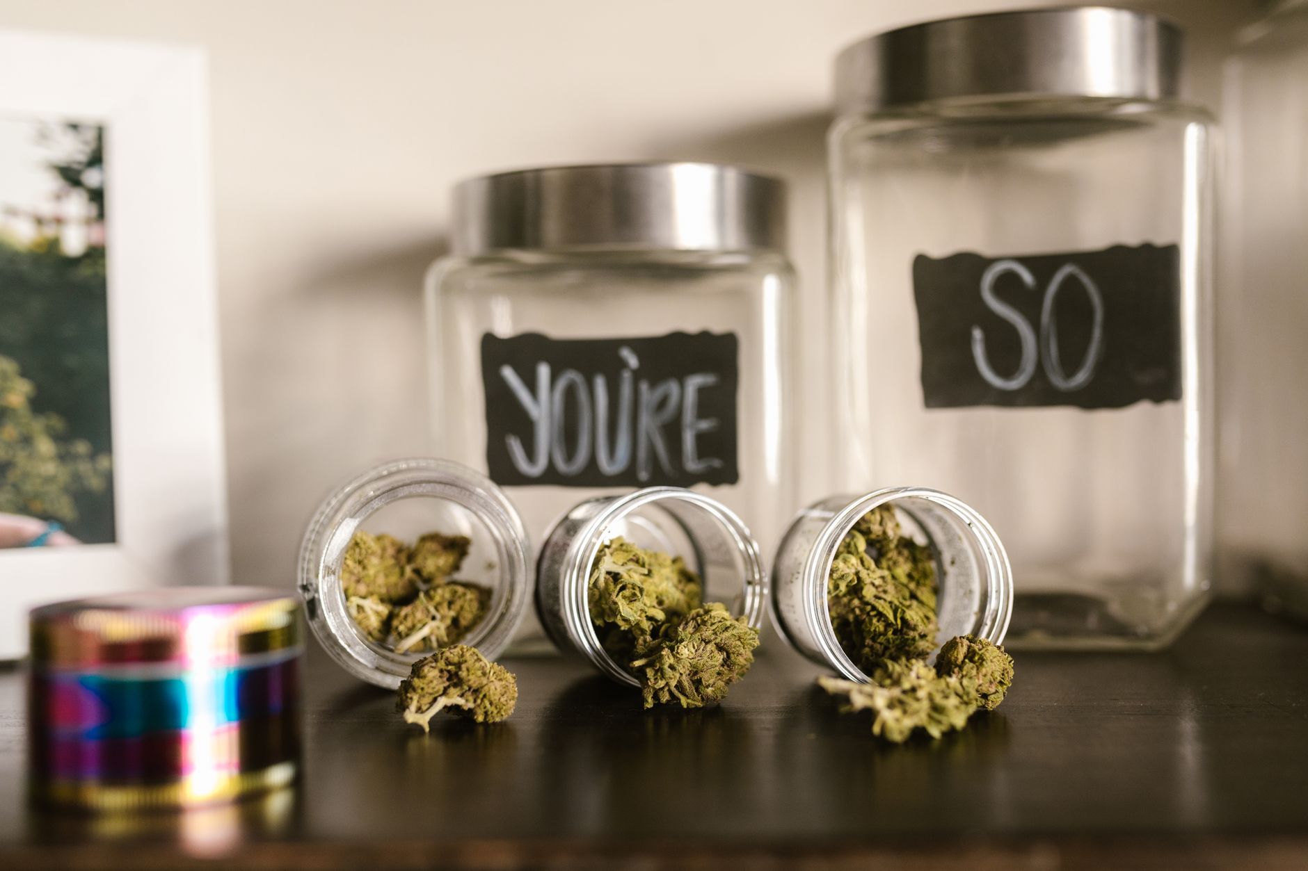Curaleaf Holdings Inc. (CURA.TO) Falls 5% in Last Session — What Investors Should Know