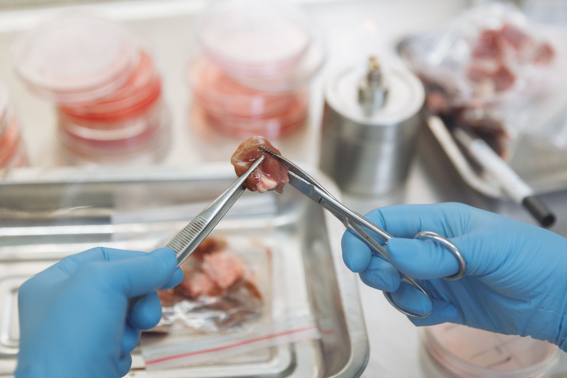 Why NanoXplore Inc stock is sliding today