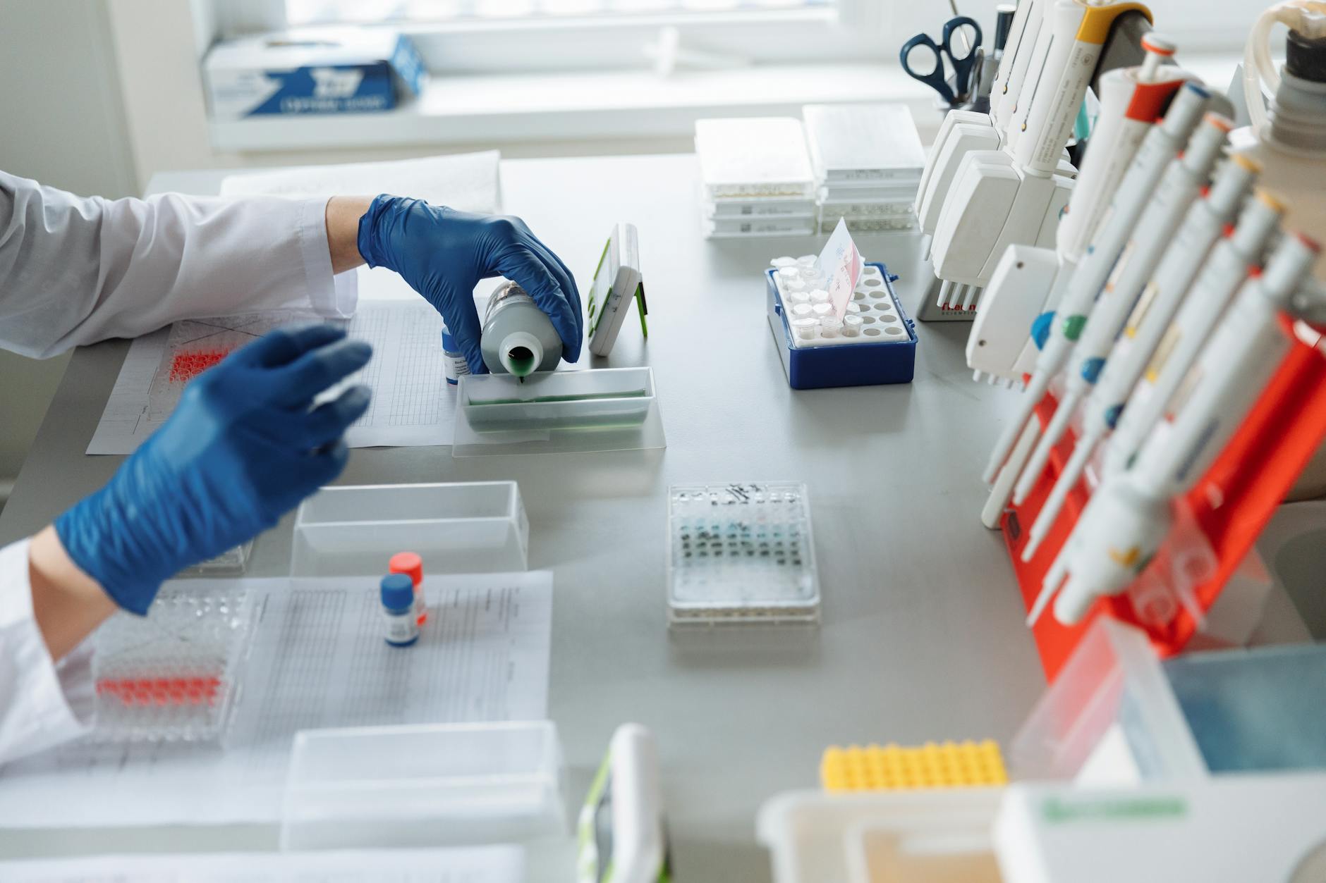 Bausch Health Companies Inc. (BHC.TO) Gains Ground with a Strong Day of Trading