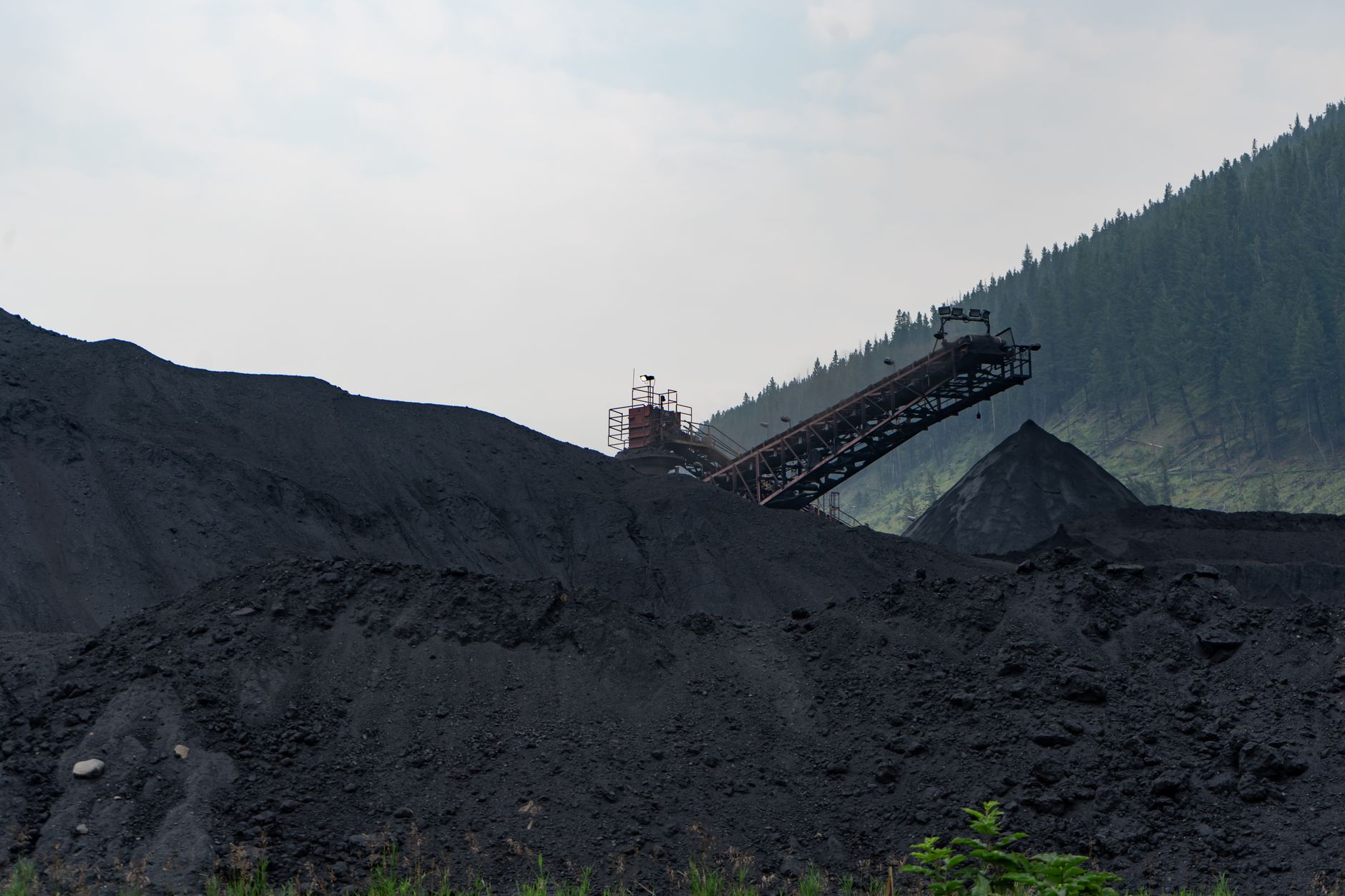 Why Canagold Resources Ltd stock is plummeting today