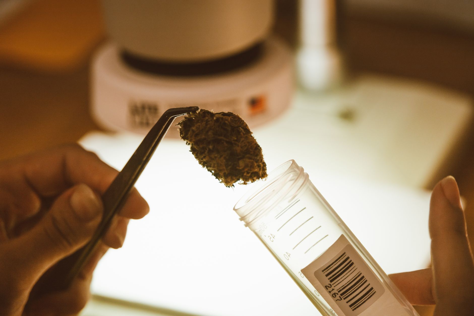 Why Avicanna Inc stock is skyrocketing today